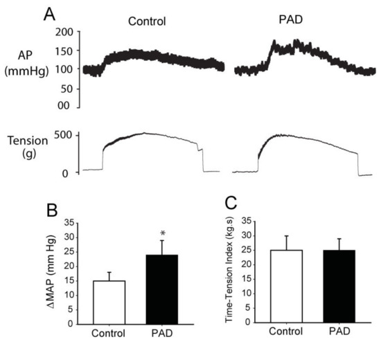 https://www.mdpi.com/ijms/ijms-23-10622/article_deploy/html/images/ijms-23-10622-g004-550.jpg