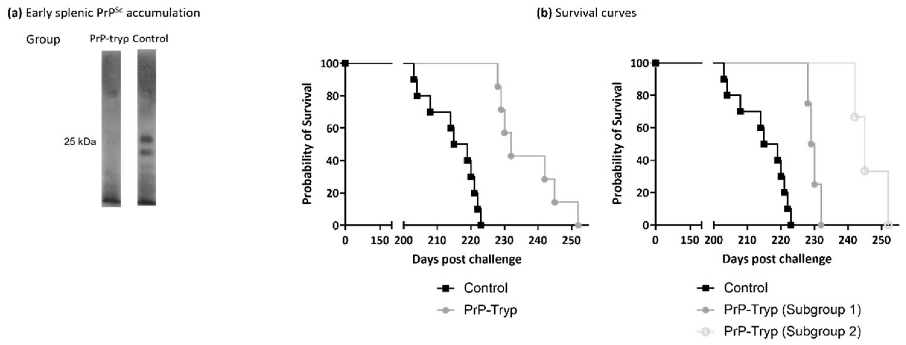 Ijms 23 10629 g004 Ijms 23 10629 g004