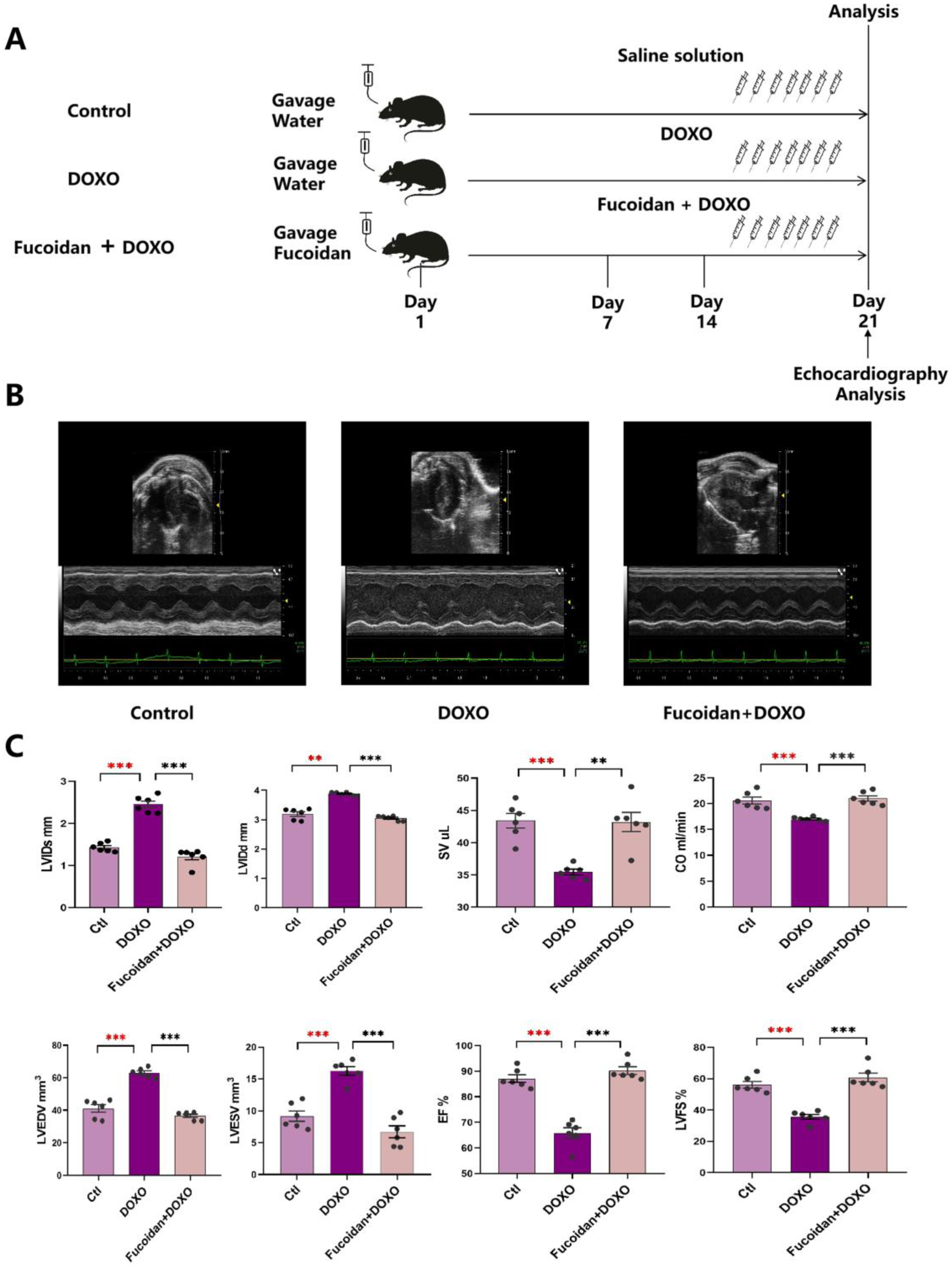 Ijms 23 10685 g001 Ijms 23 10685 g001