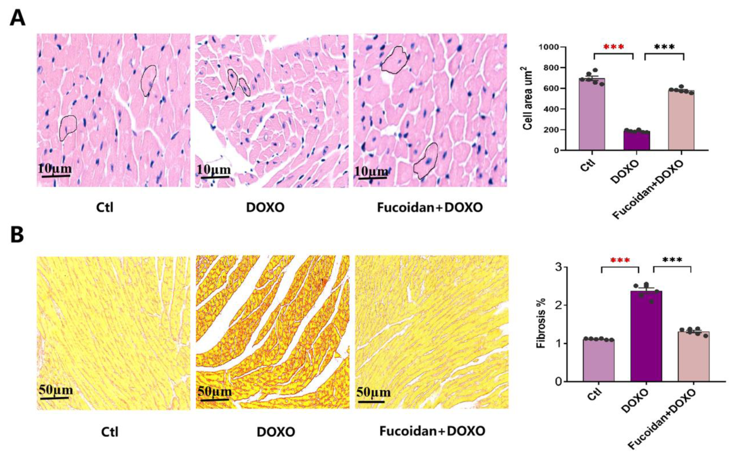 Ijms 23 10685 g002 Ijms 23 10685 g002