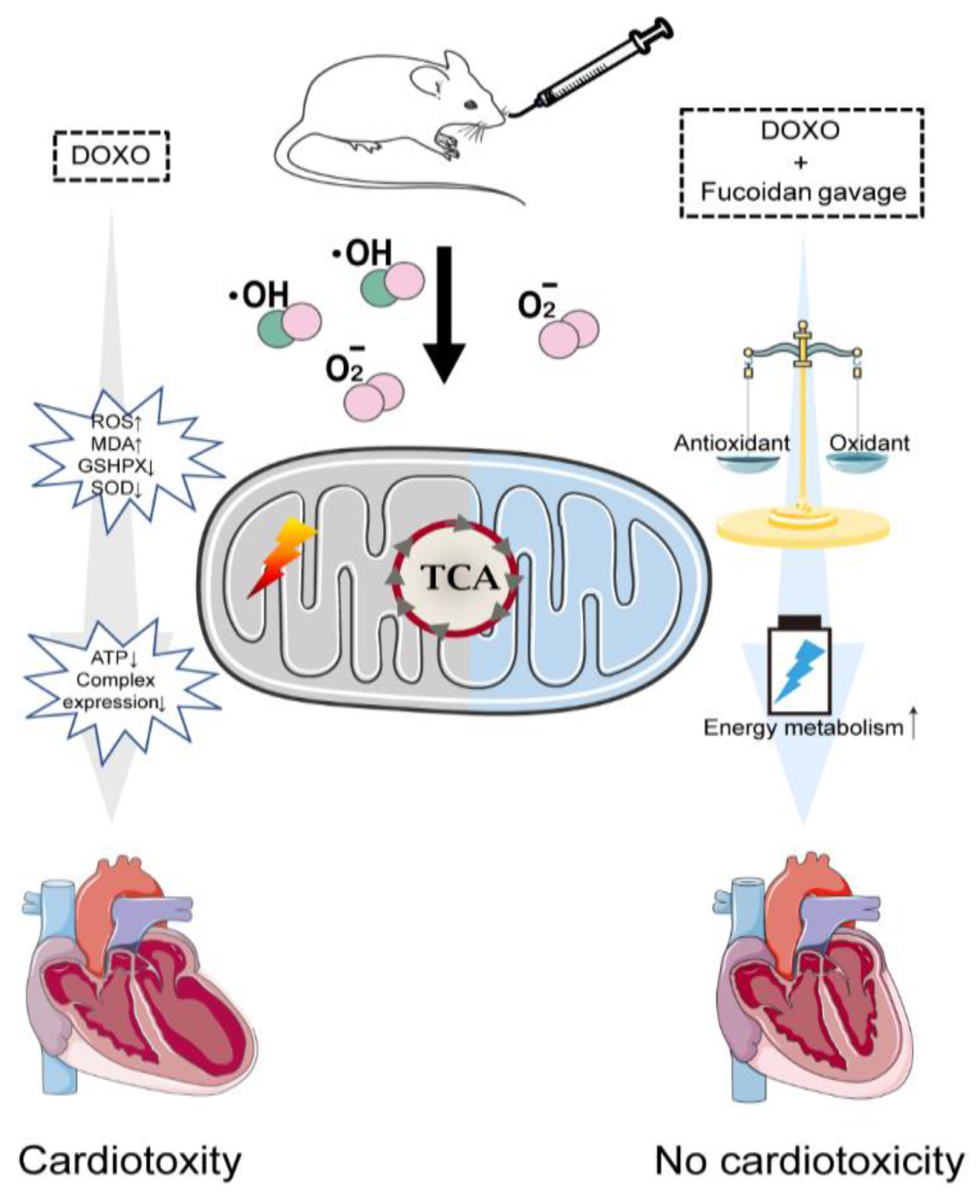Ijms 23 10685 g006 Ijms 23 10685 g006