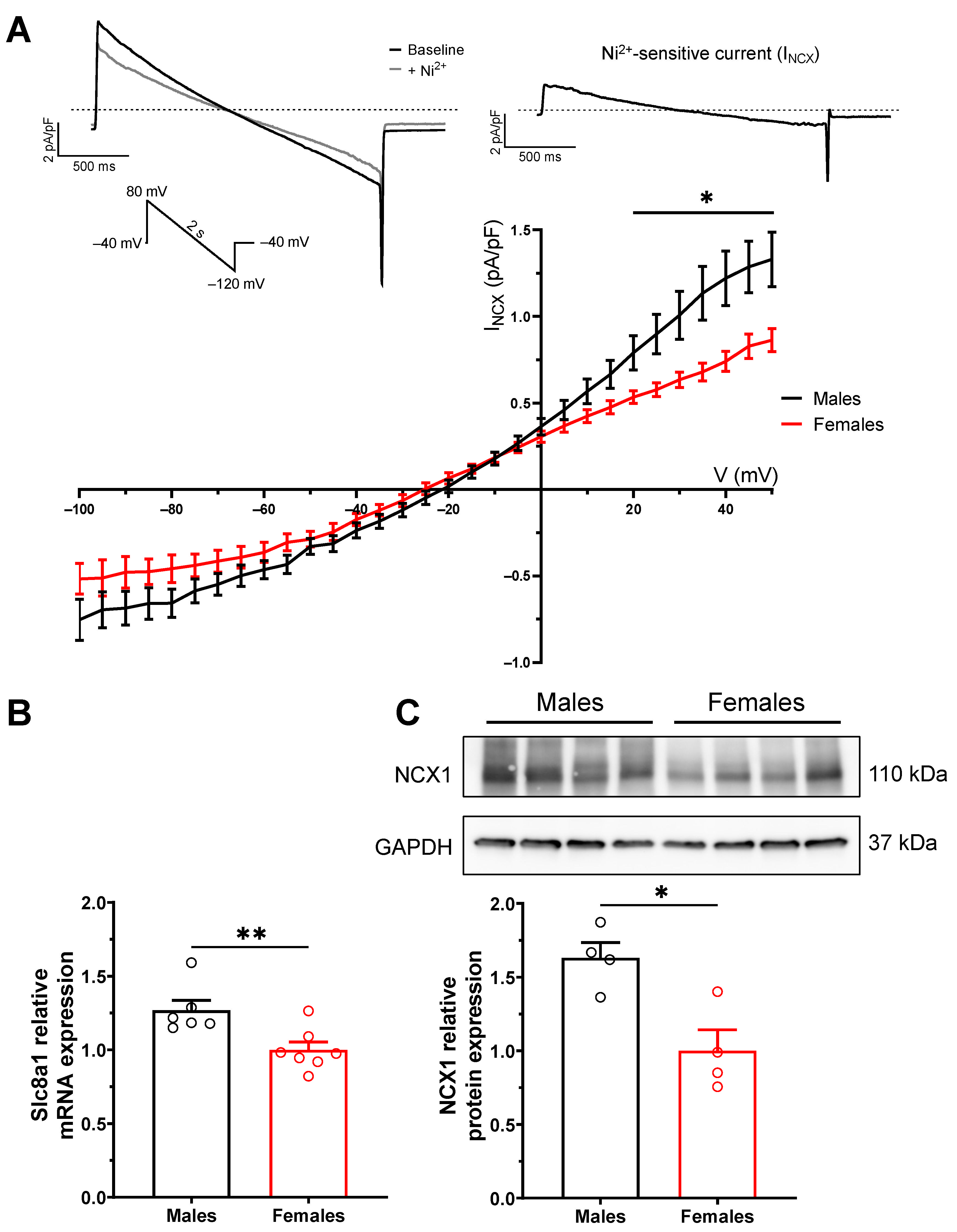 Ijms 23 10724 g004 Ijms 23 10724 g004