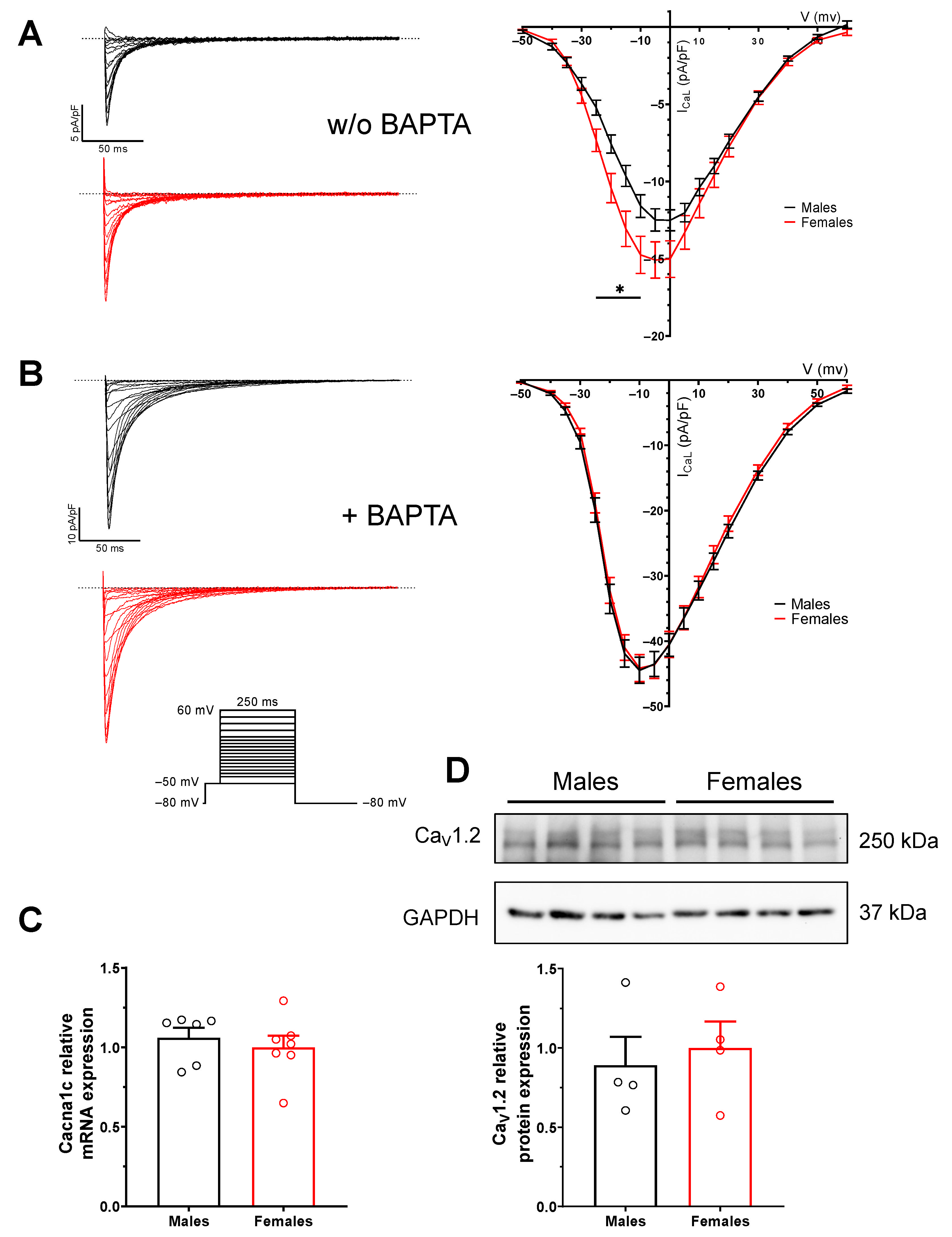 Ijms 23 10724 g005 Ijms 23 10724 g005