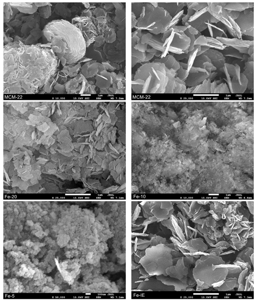 Ijms 23 10754 g006 Ijms 23 10754 g006