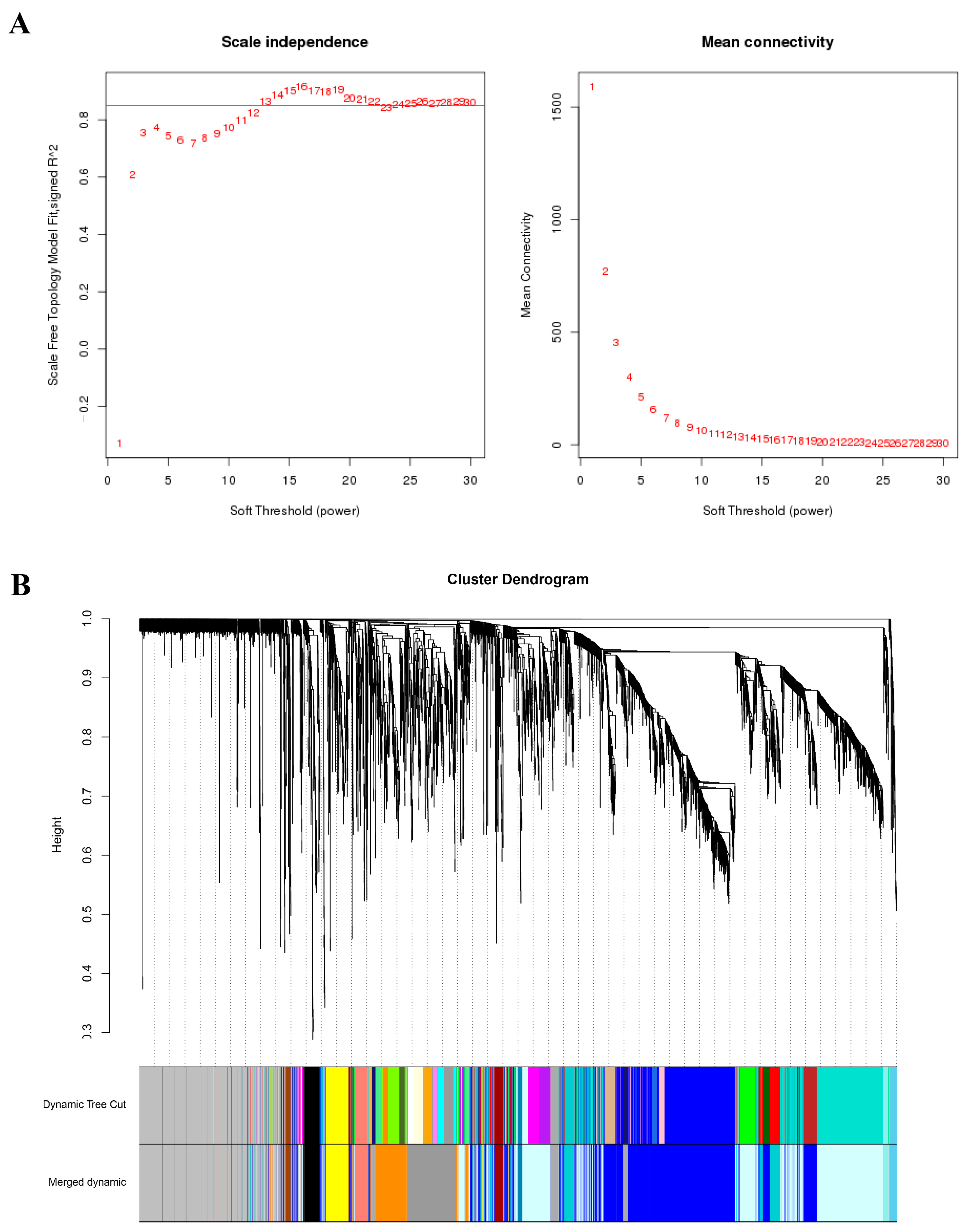 Ijms 23 10770 g003 Ijms 23 10770 g003