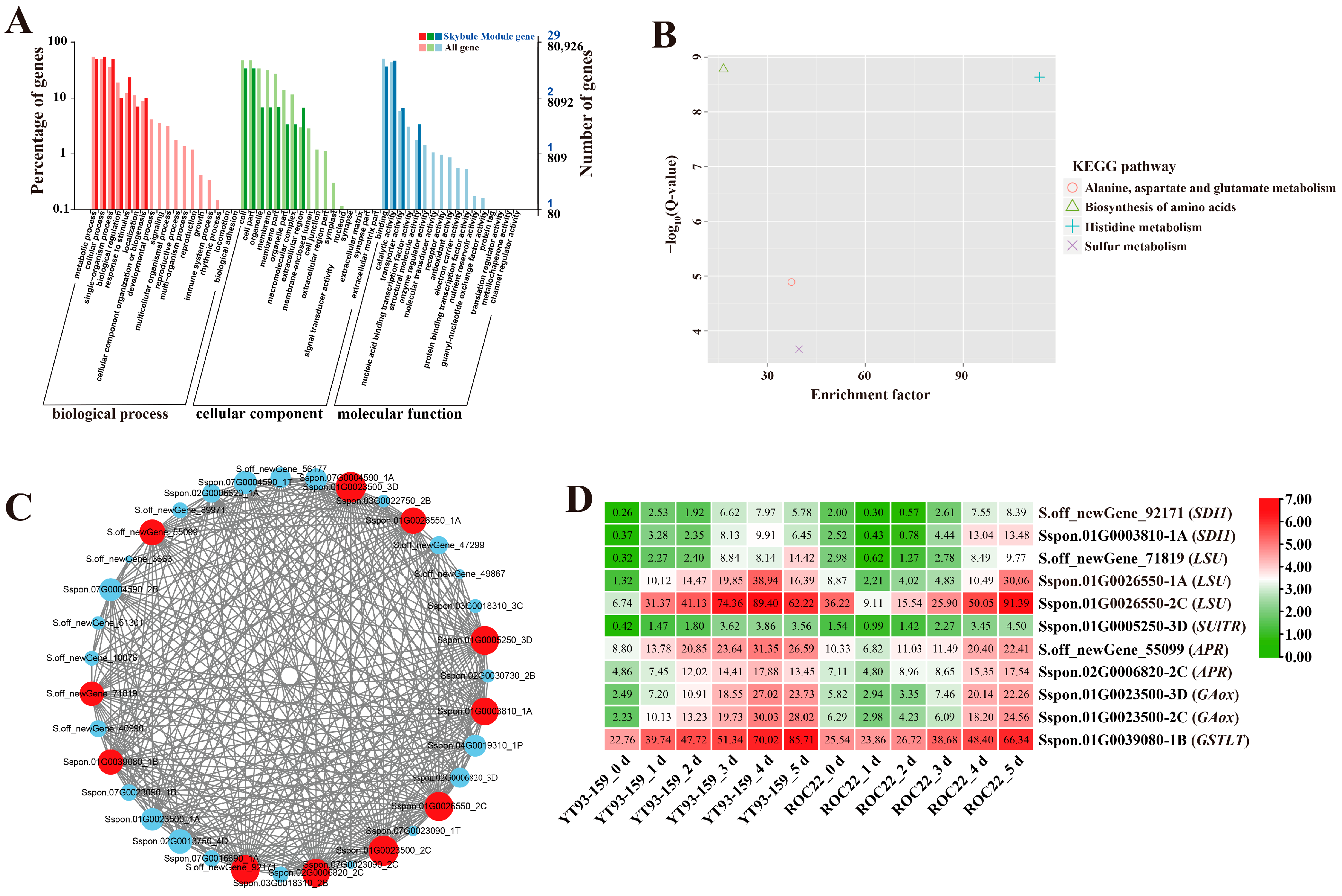 Ijms 23 10770 g005 Ijms 23 10770 g005