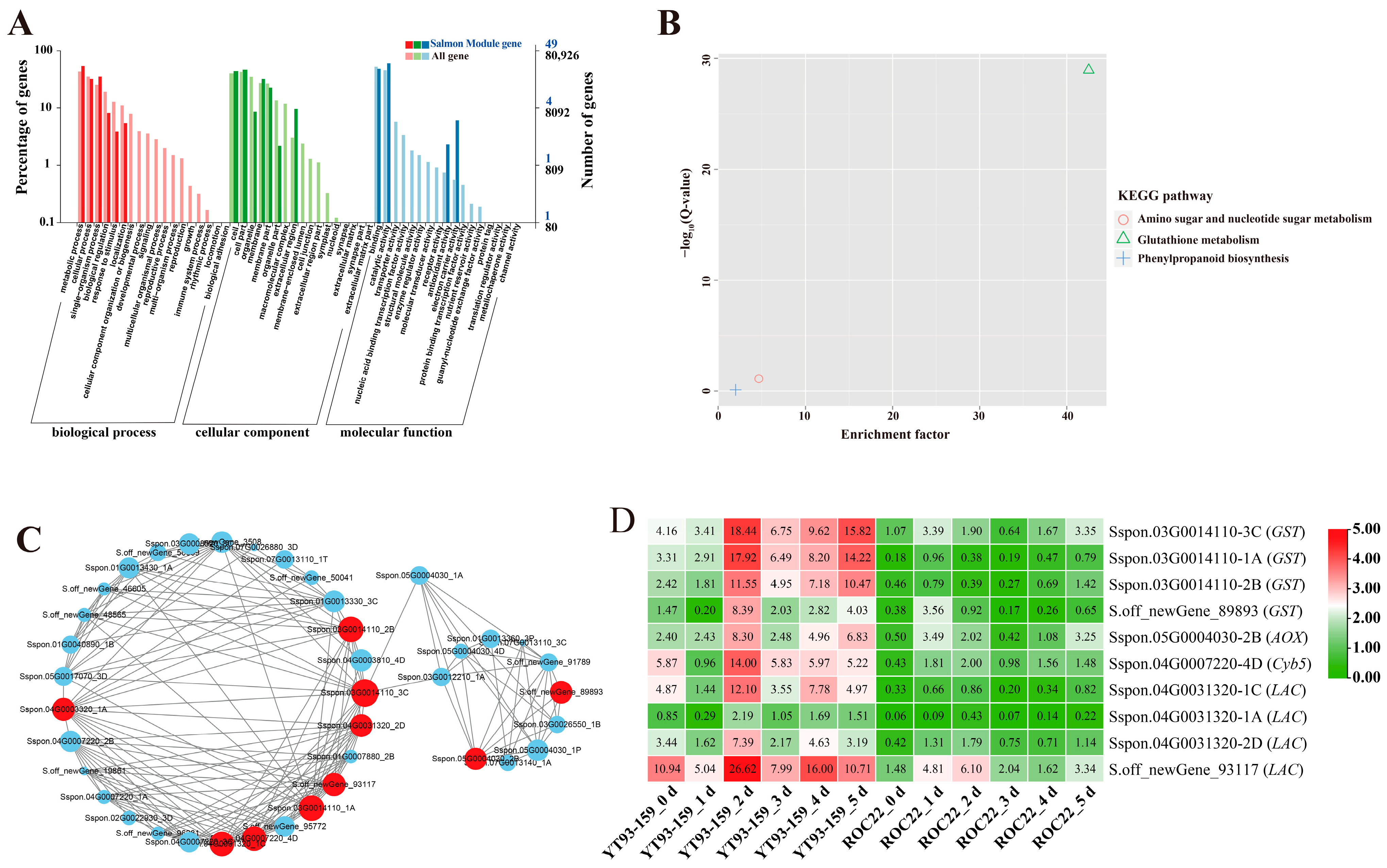 Ijms 23 10770 g006 Ijms 23 10770 g006