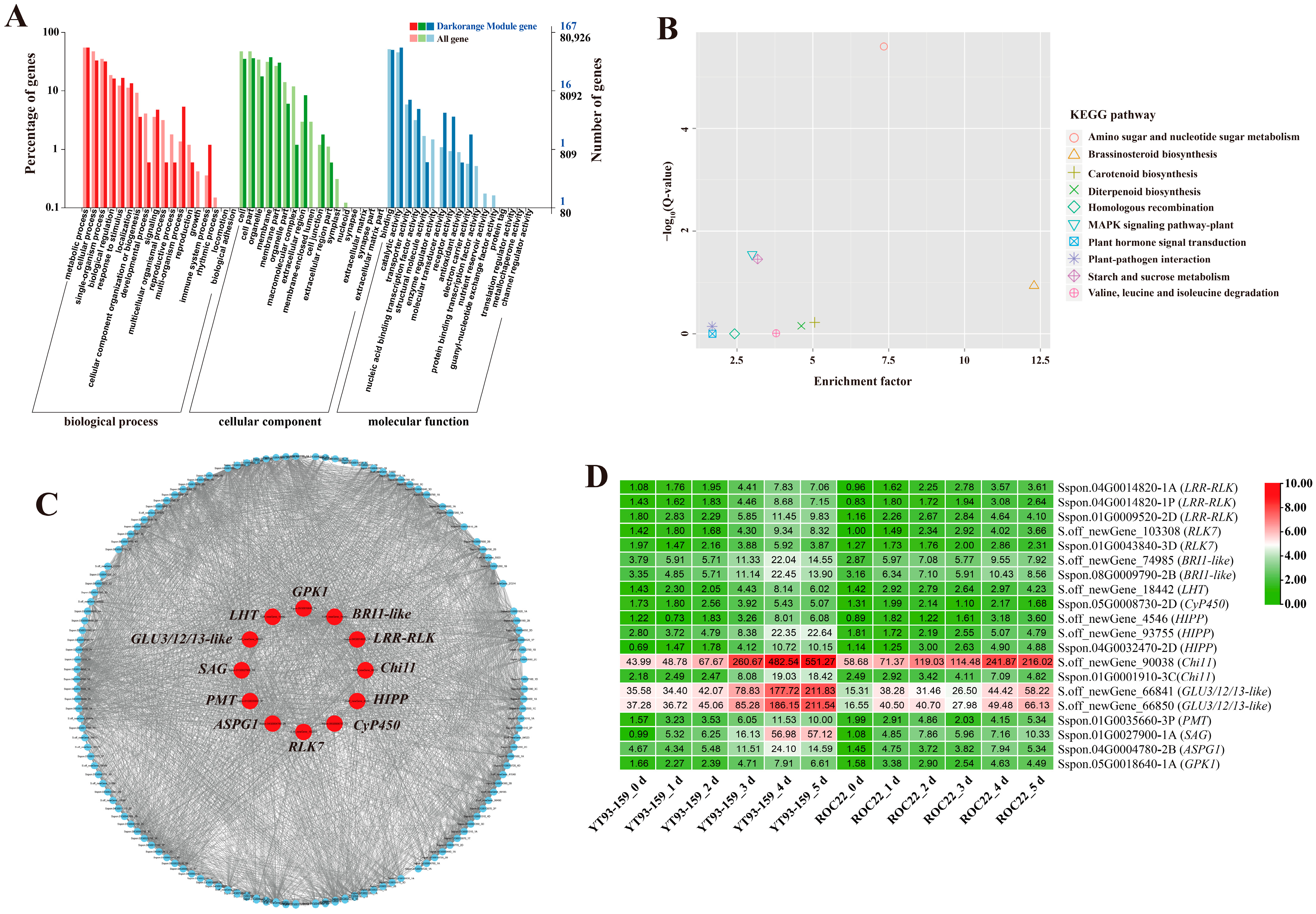 Ijms 23 10770 g007 Ijms 23 10770 g007