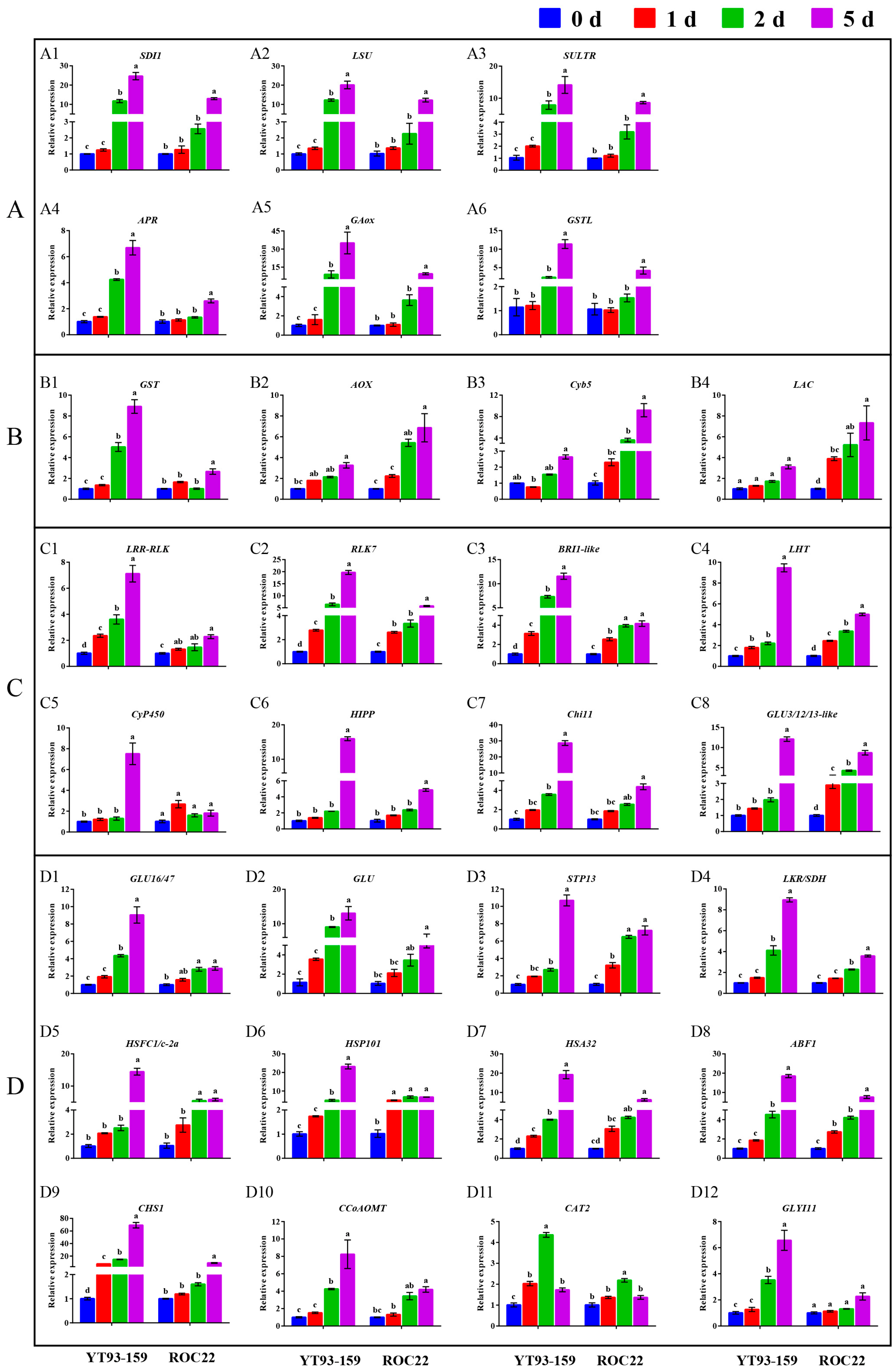 Ijms 23 10770 g009 Ijms 23 10770 g009