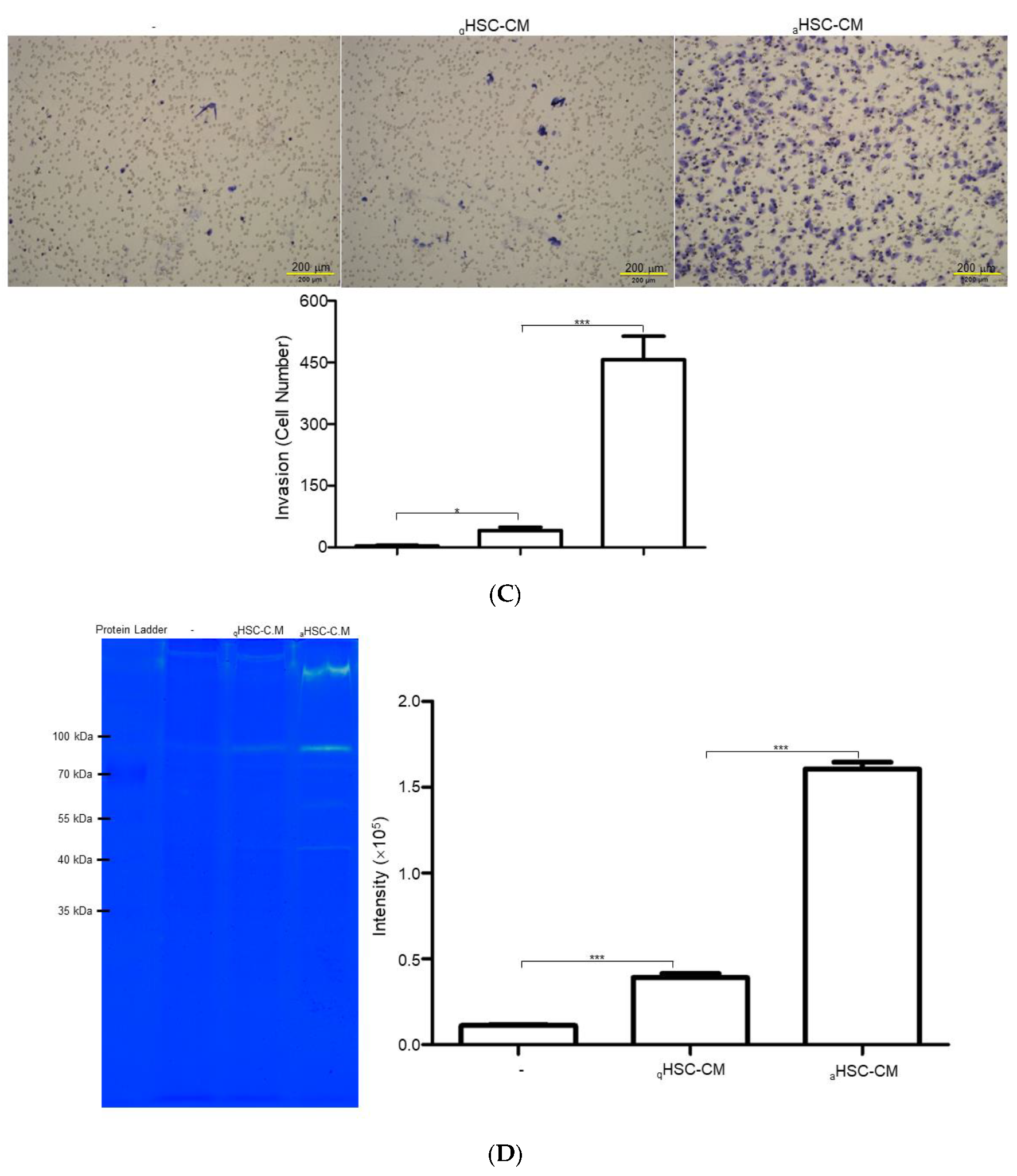 Ijms 23 10777 g002b Ijms 23 10777 g002b