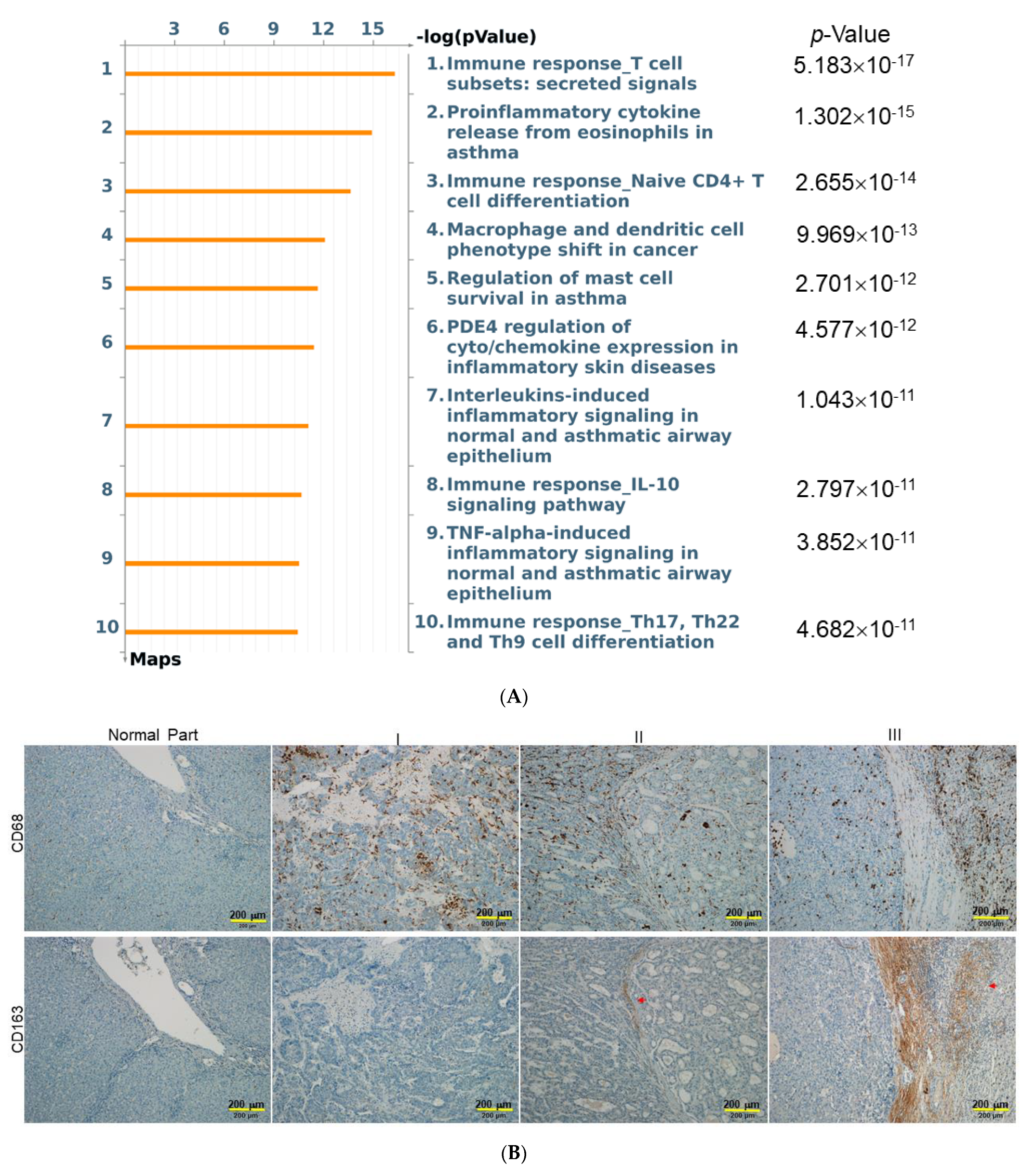 Ijms 23 10777 g004a Ijms 23 10777 g004a