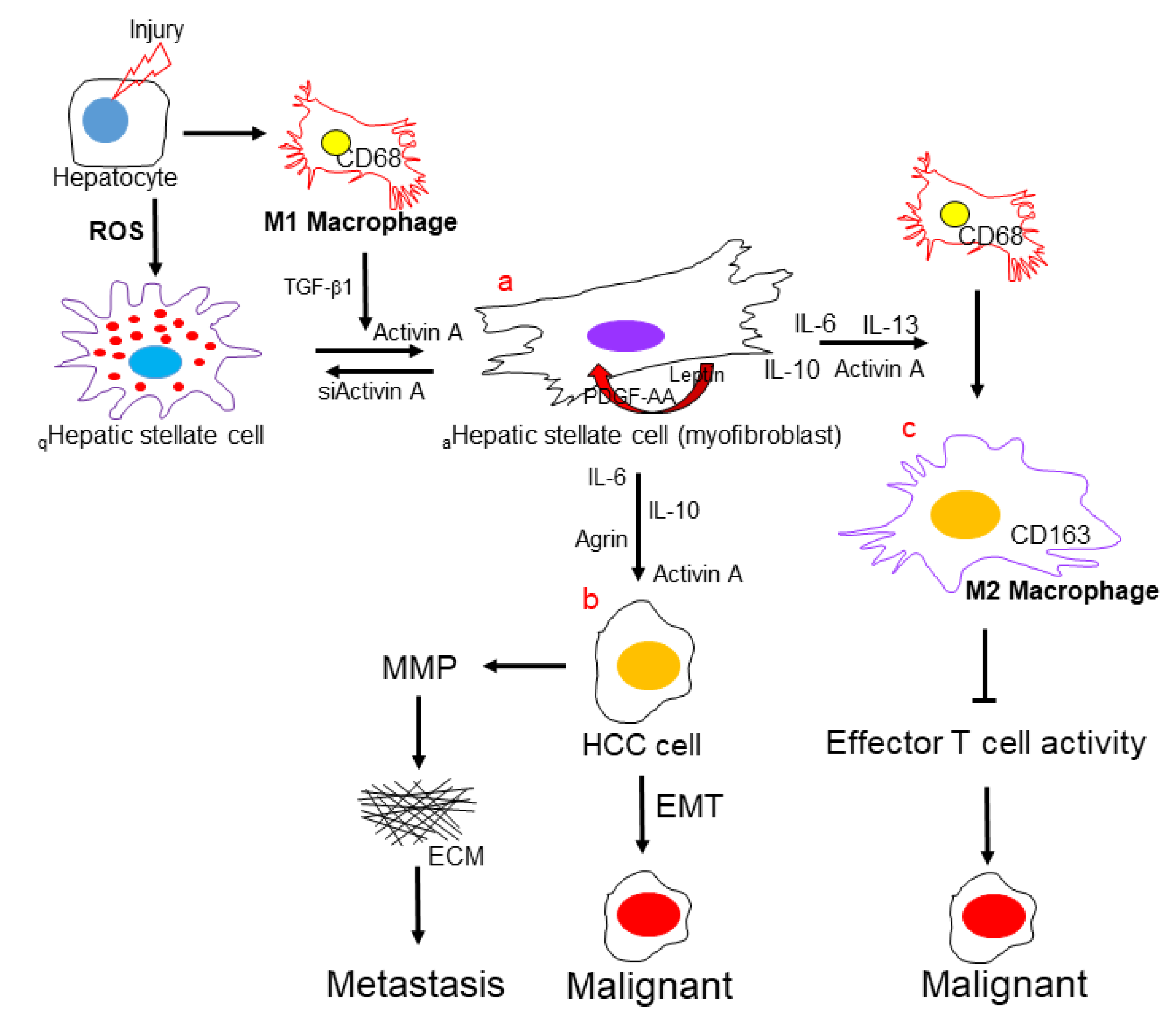 Ijms 23 10777 g005 Ijms 23 10777 g005