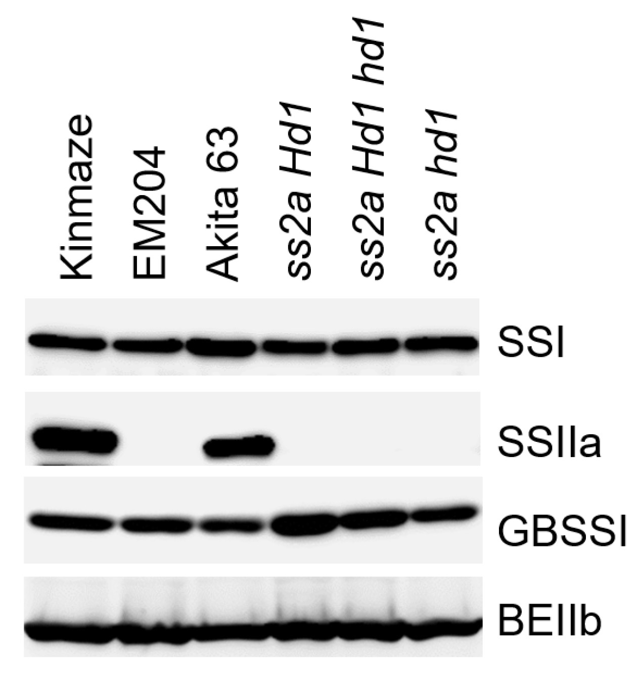 Ijms 23 10783 g004 Ijms 23 10783 g004