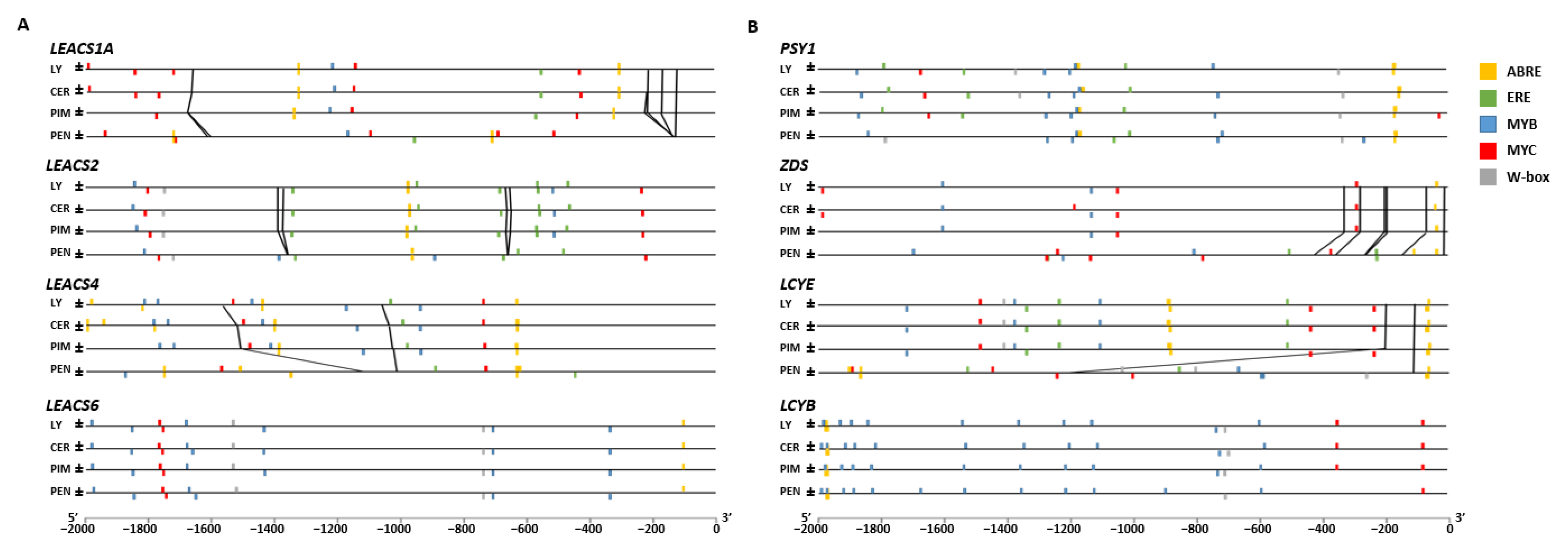 Ijms 23 10788 g003 Ijms 23 10788 g003