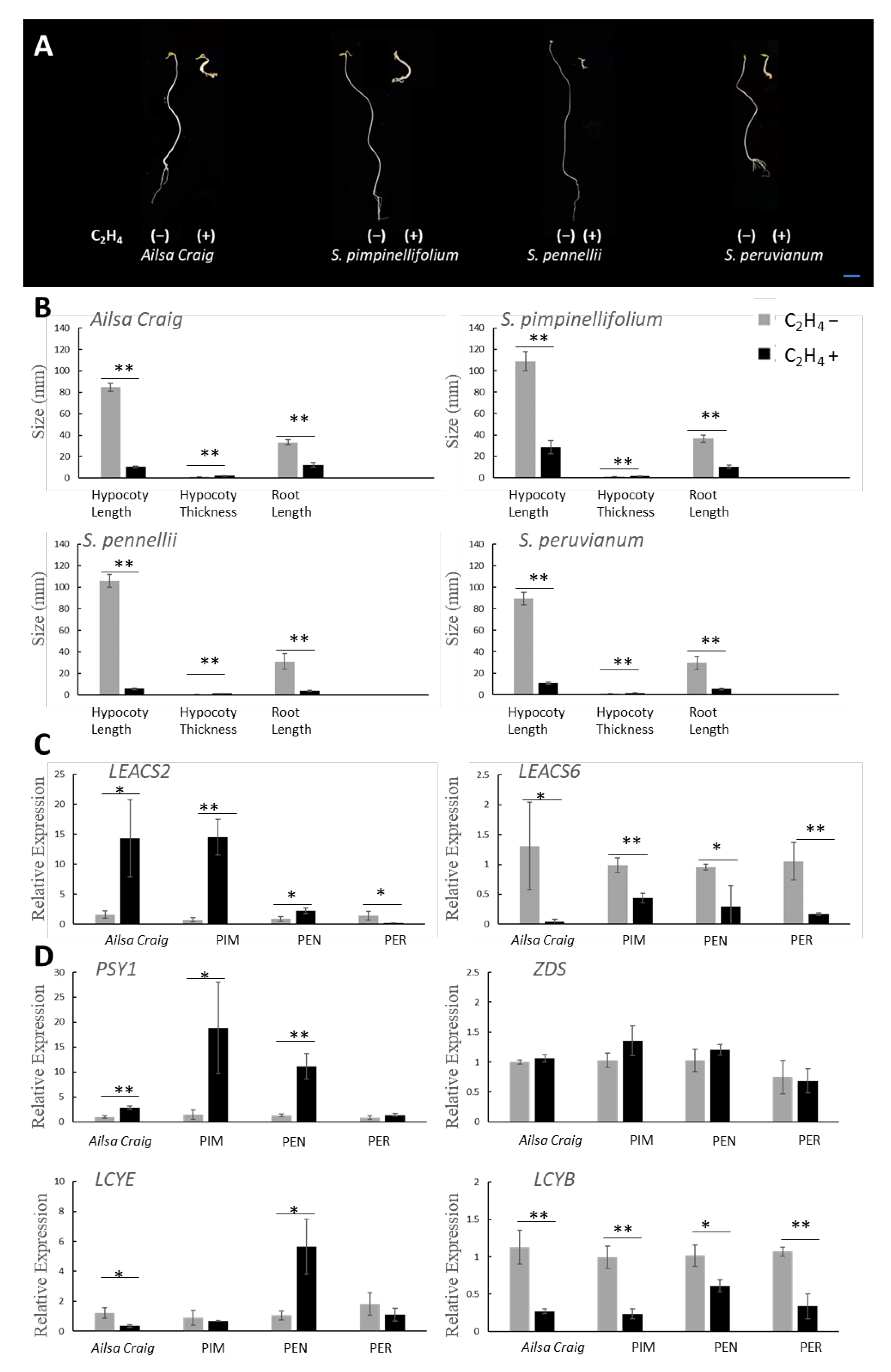 Ijms 23 10788 g004 Ijms 23 10788 g004