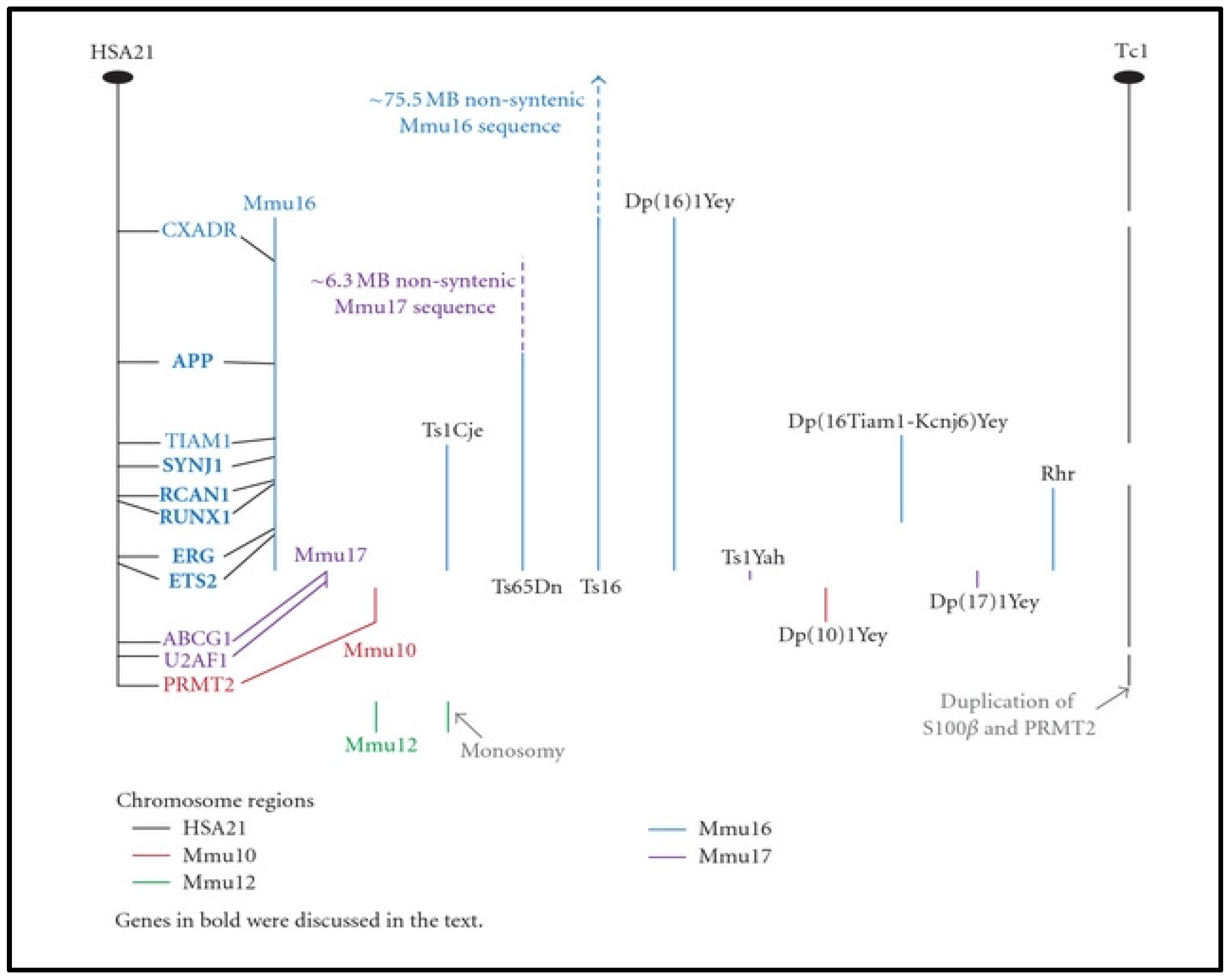 Ijms 23 10796 g001 Ijms 23 10796 g001