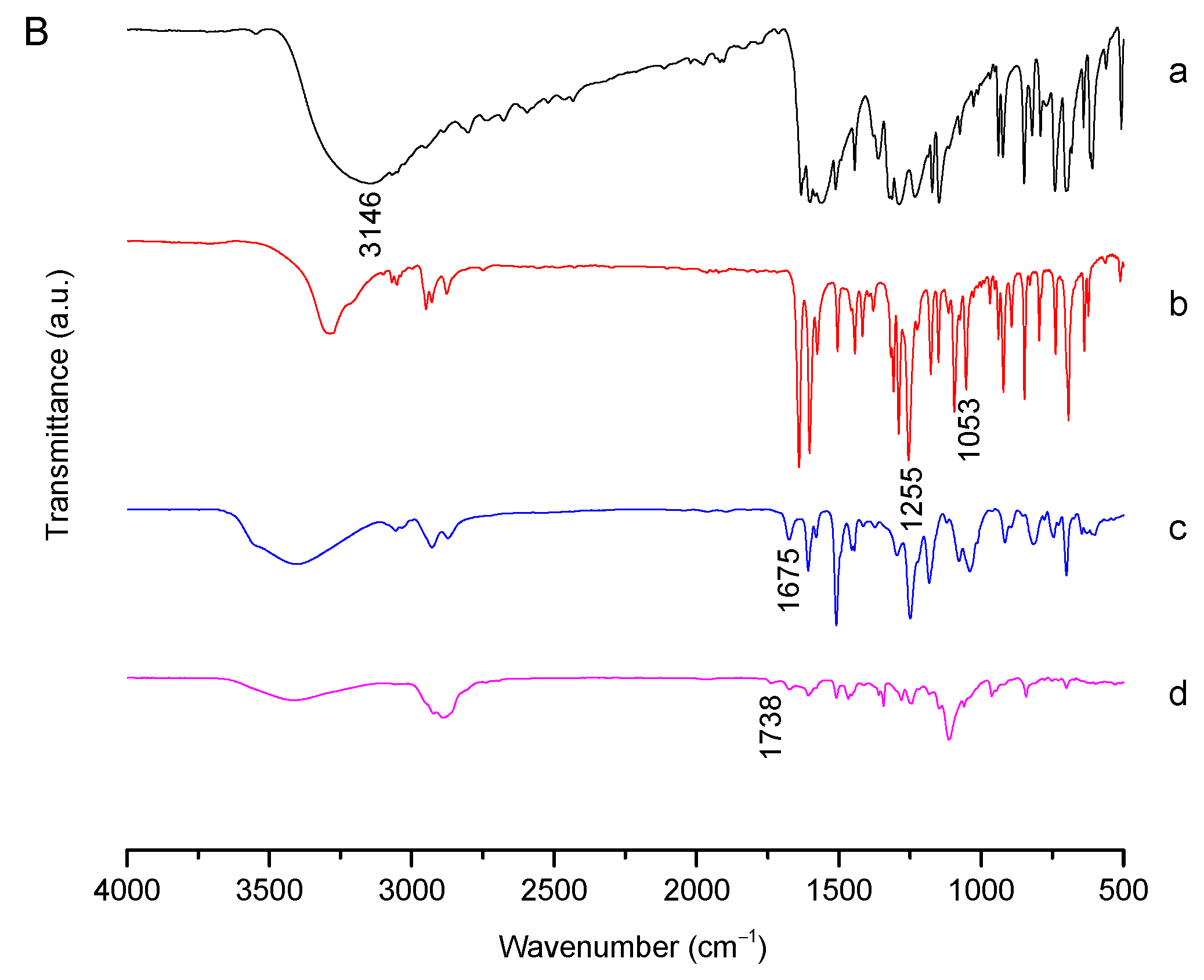 Ijms 23 10801 g001b Ijms 23 10801 g001b