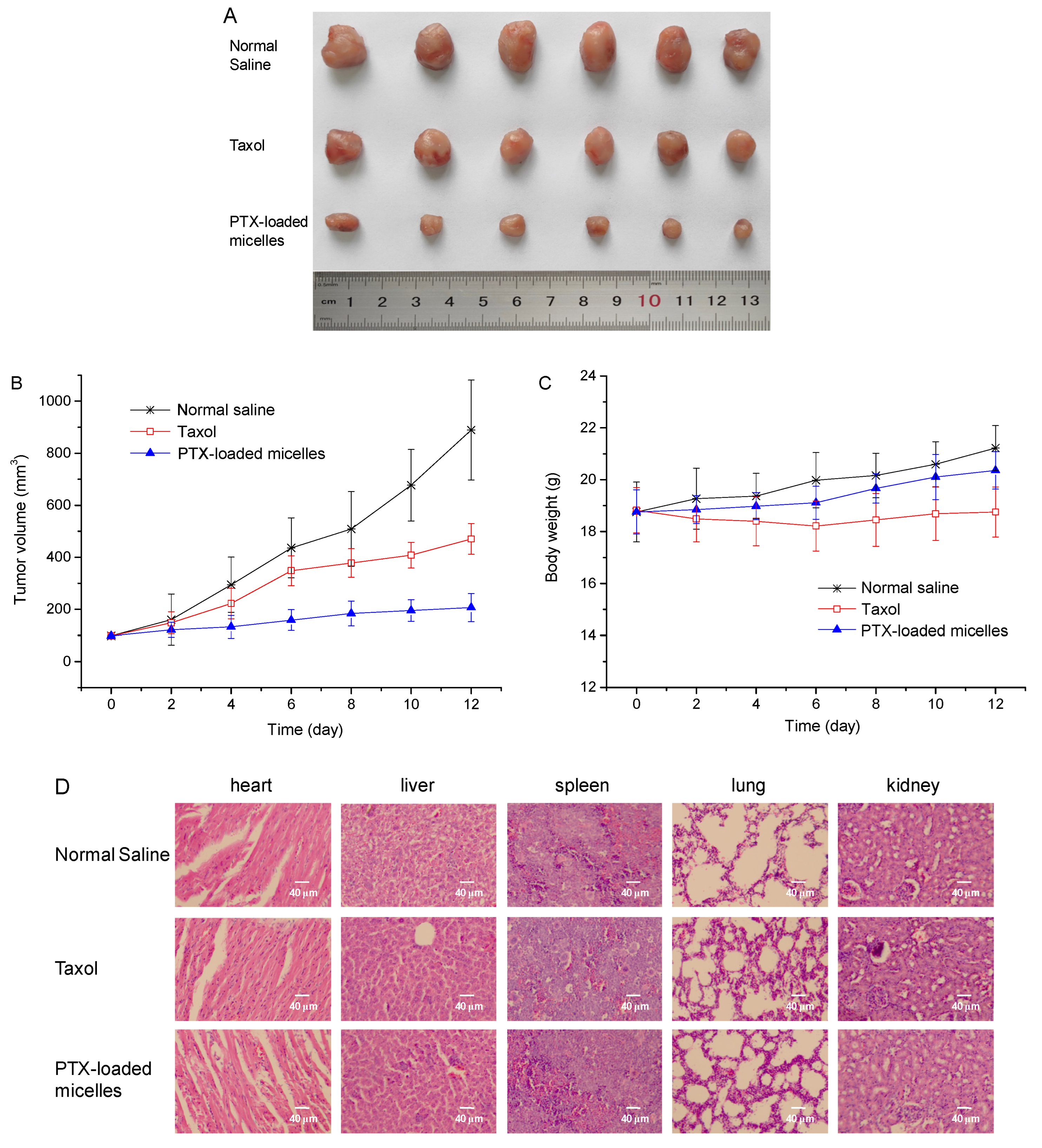Ijms 23 10801 g005 Ijms 23 10801 g005