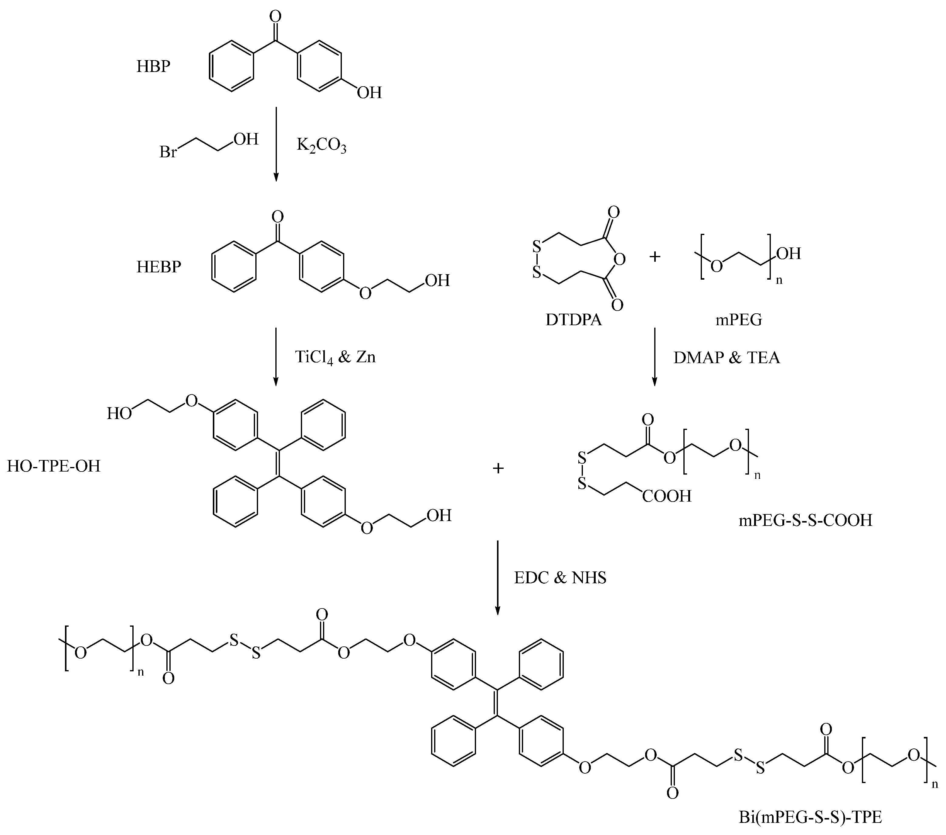 Ijms 23 10801 sch001 Ijms 23 10801 sch001