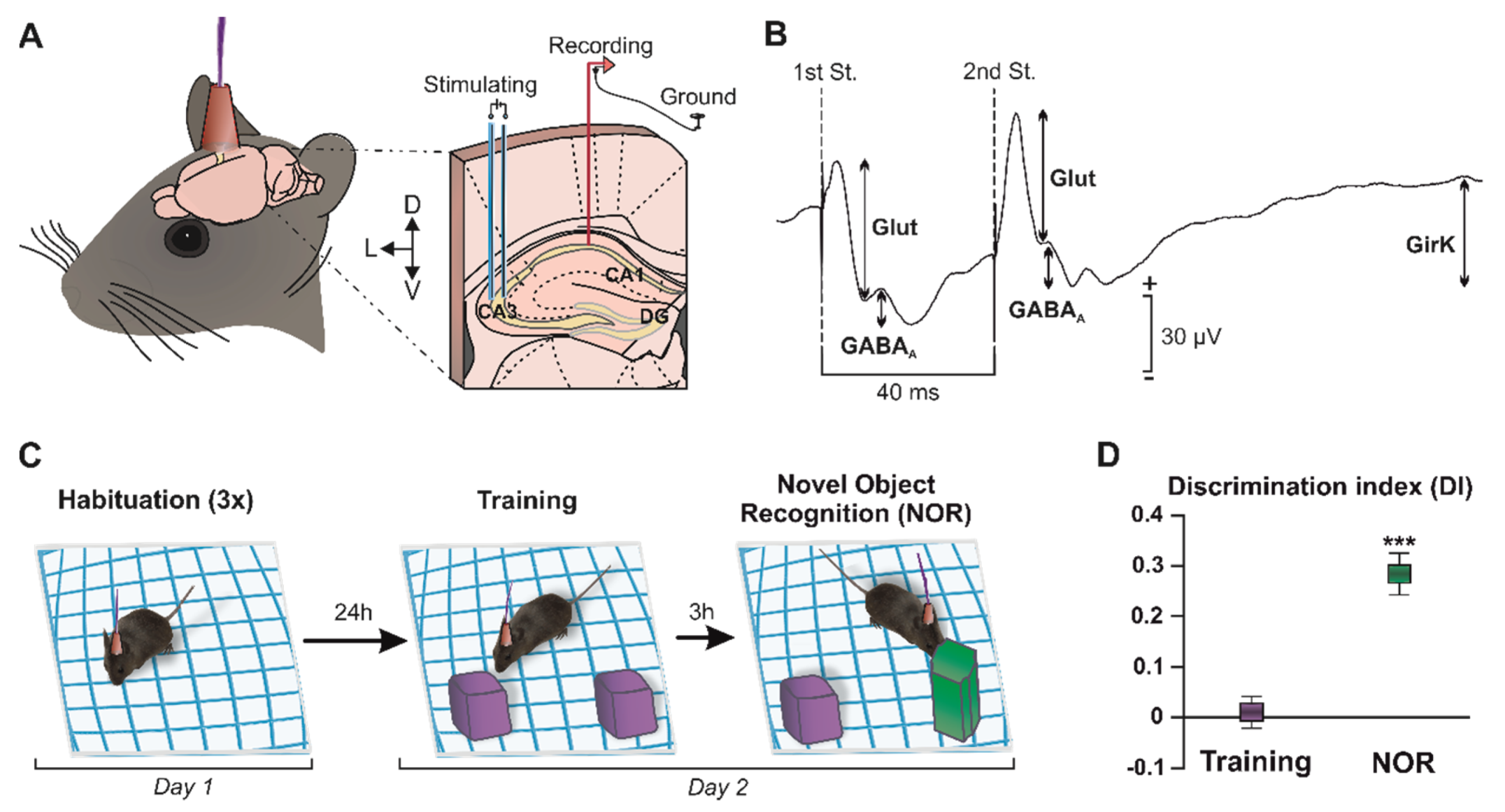 Ijms 23 10806 g001 Ijms 23 10806 g001