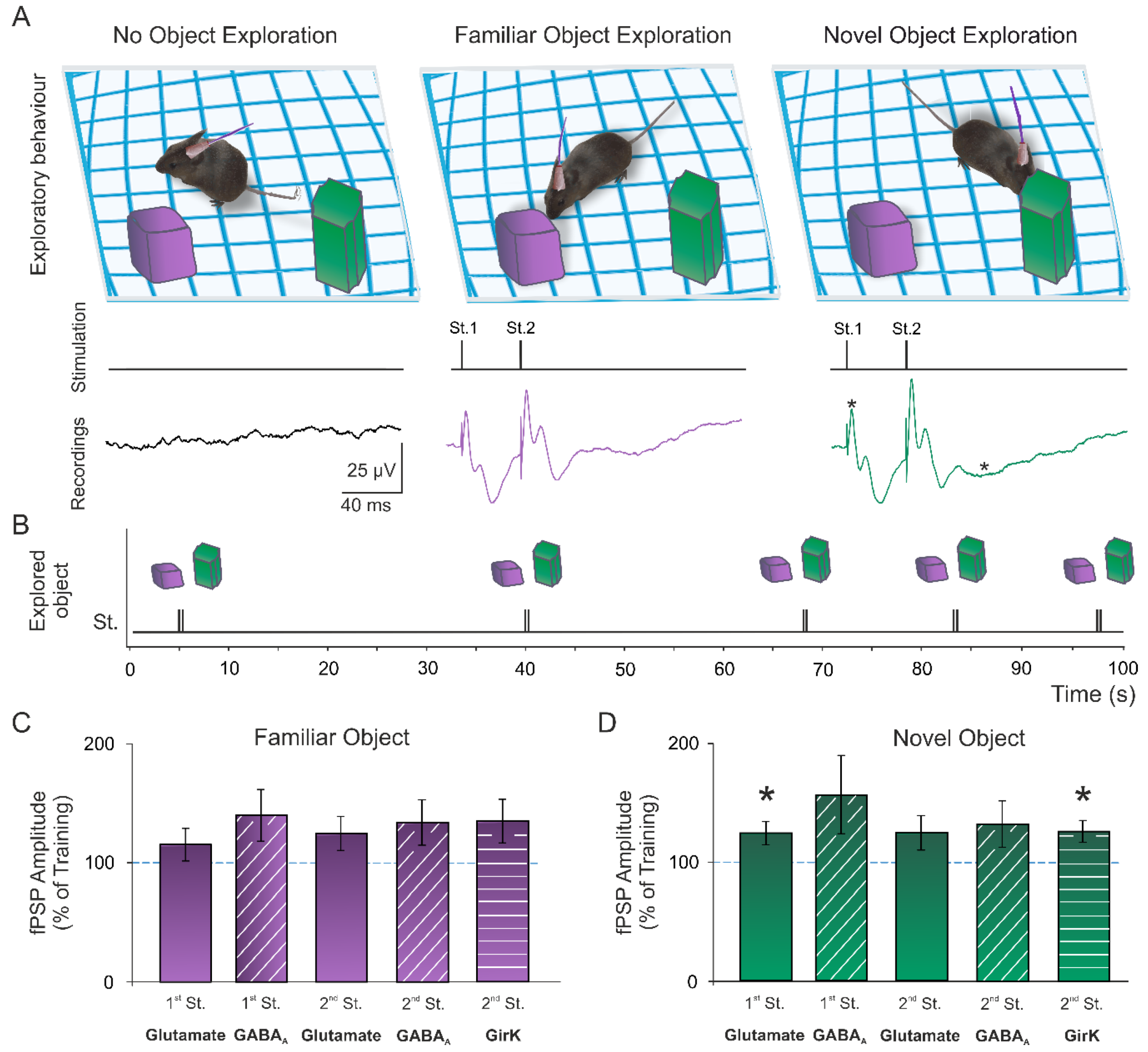 Ijms 23 10806 g002 Ijms 23 10806 g002