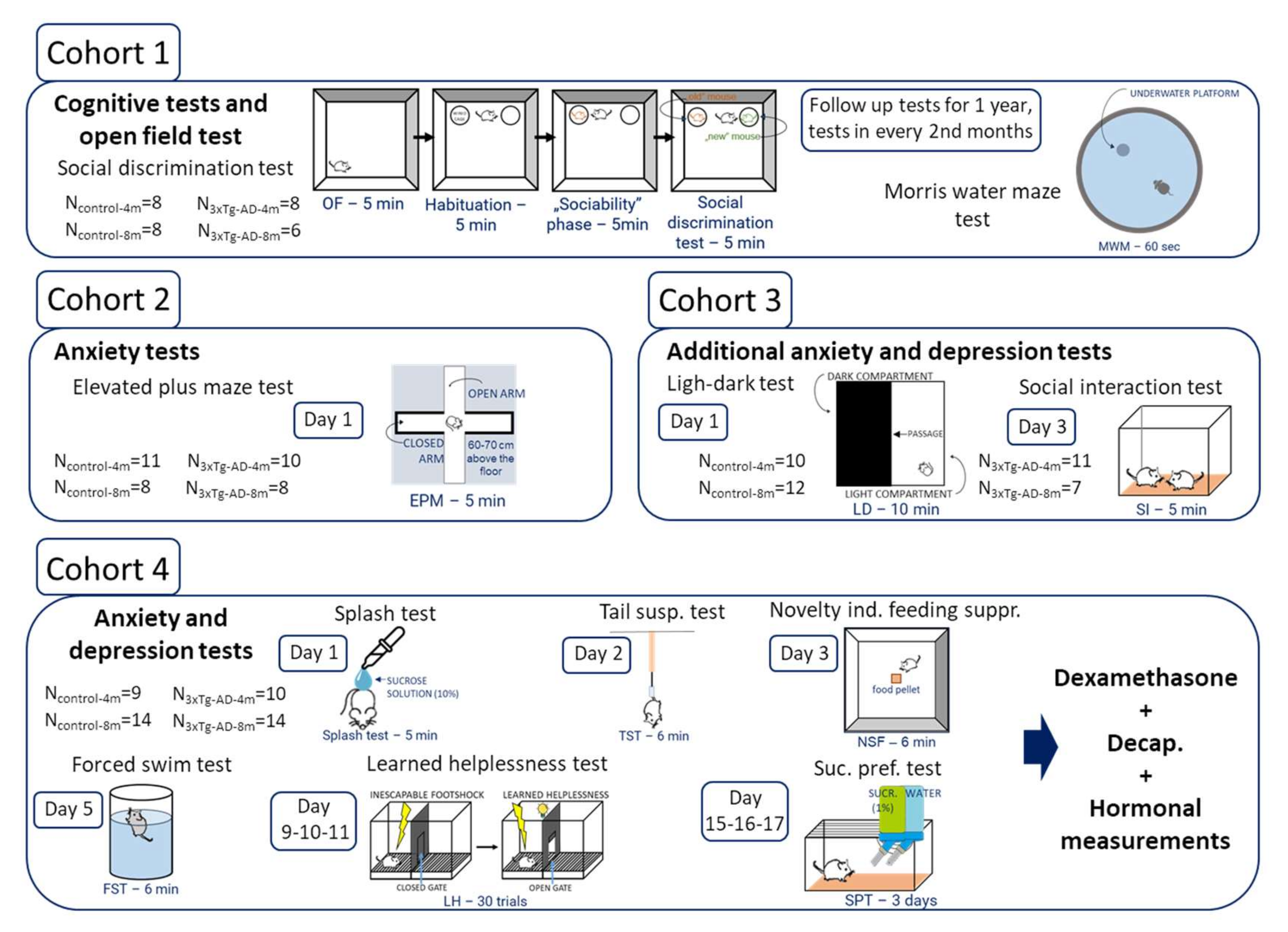 Ijms 23 10816 g005 Ijms 23 10816 g005