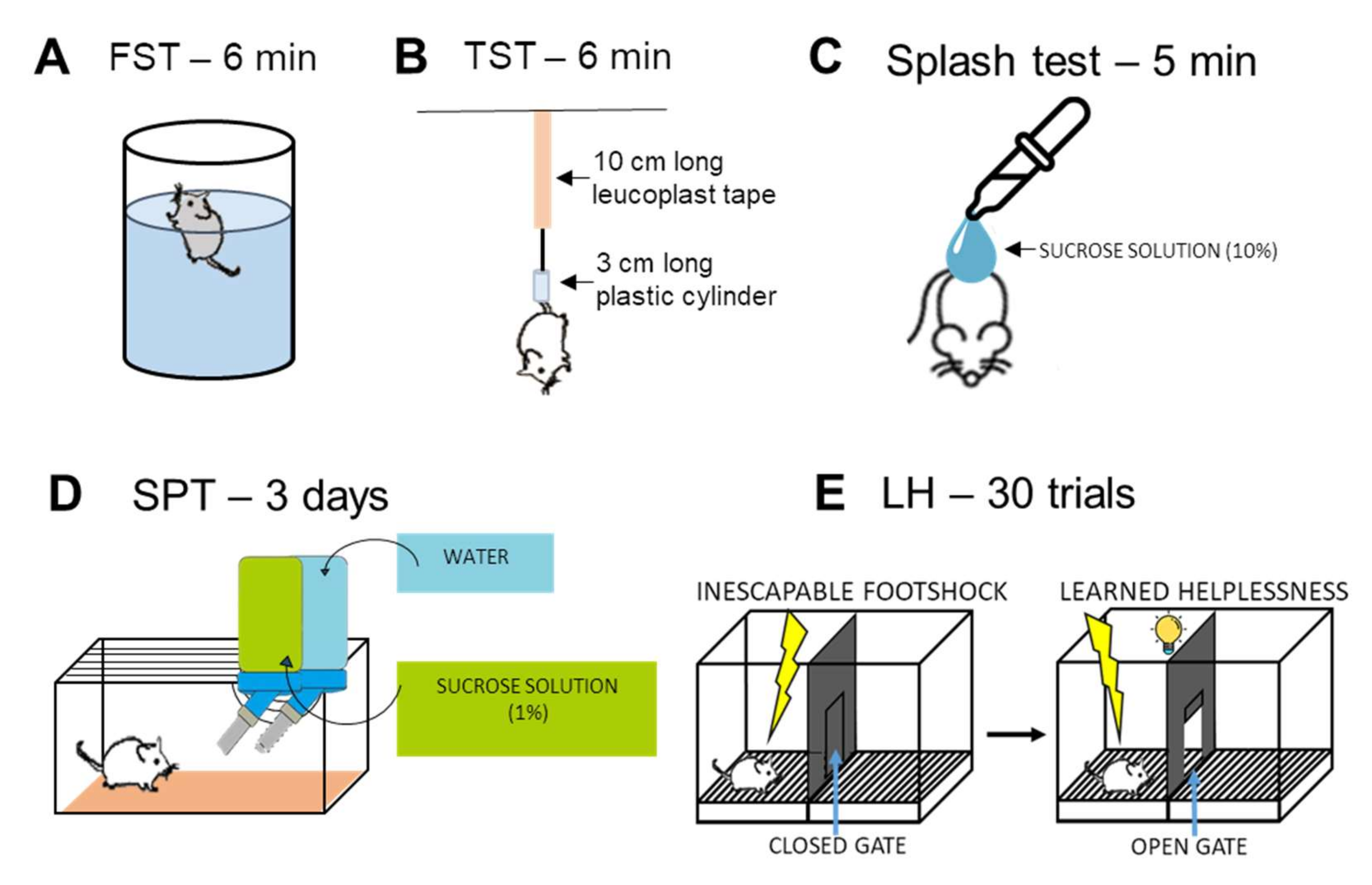 Ijms 23 10816 g008 Ijms 23 10816 g008