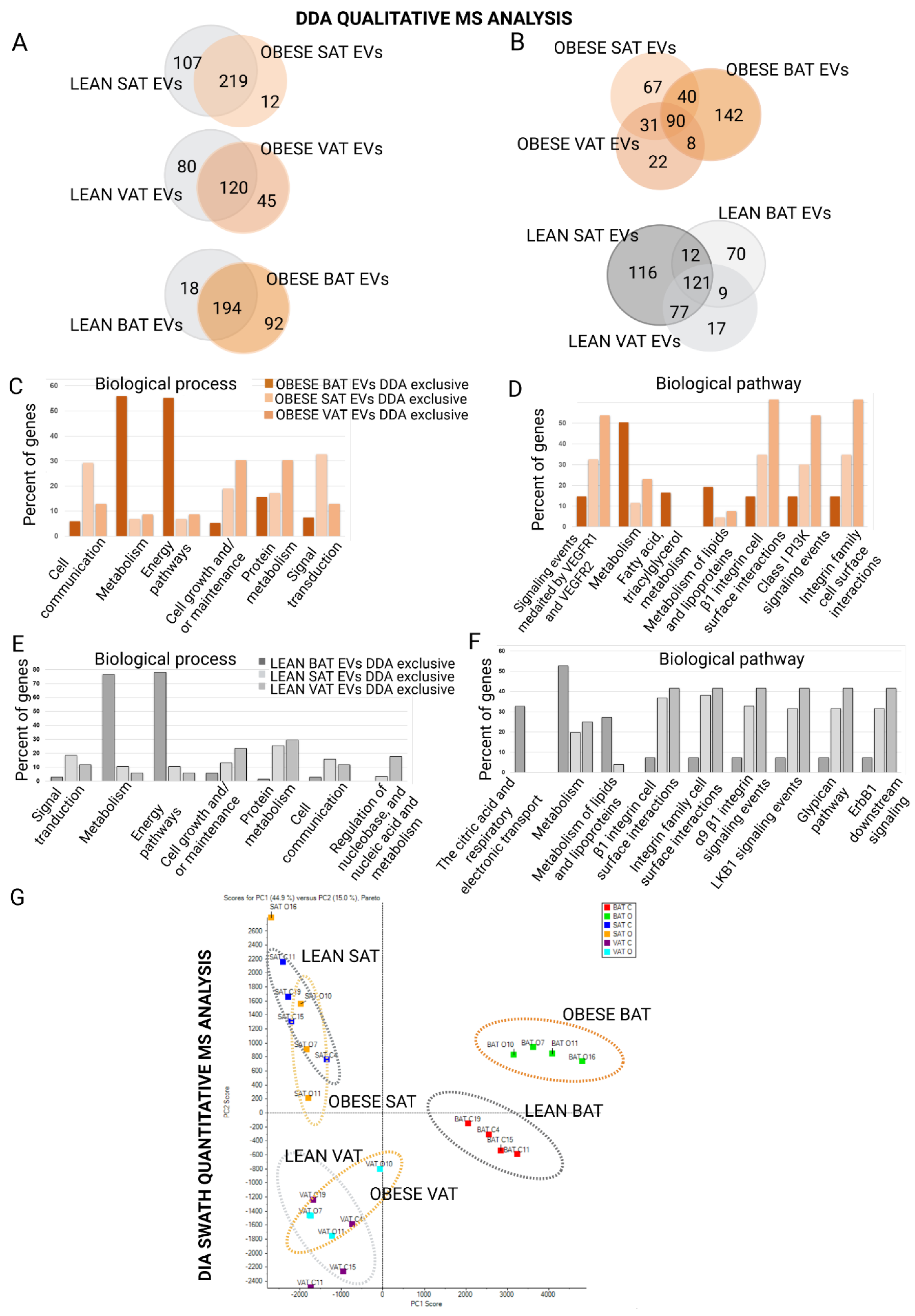 Ijms 23 10826 g003 Ijms 23 10826 g003