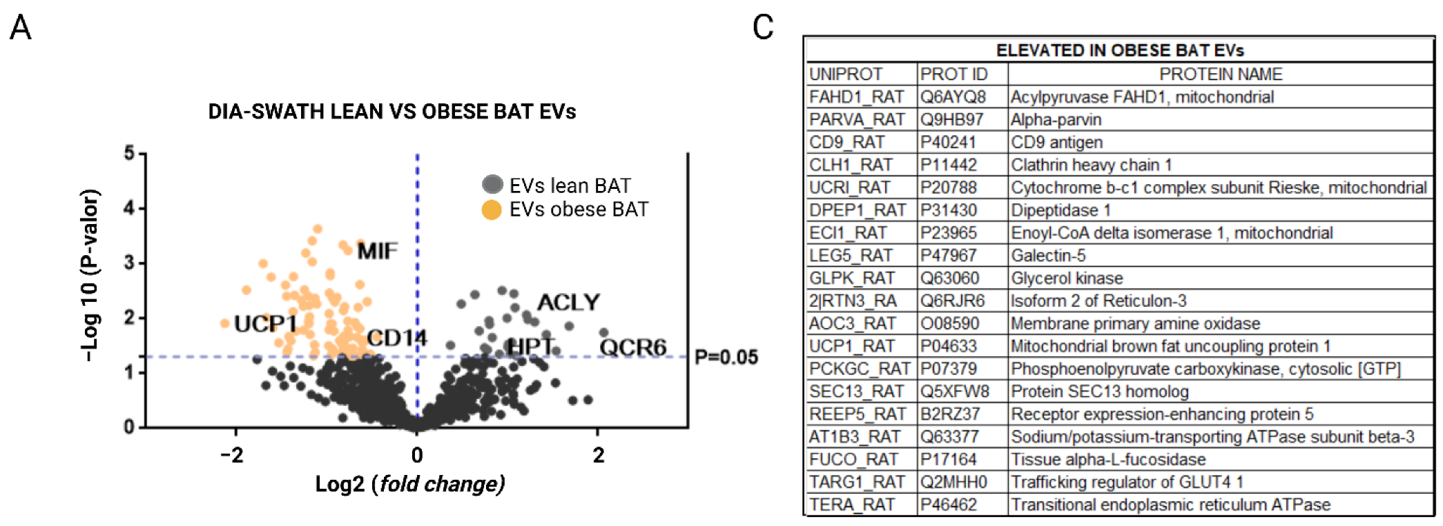 Ijms 23 10826 g005a Ijms 23 10826 g005a