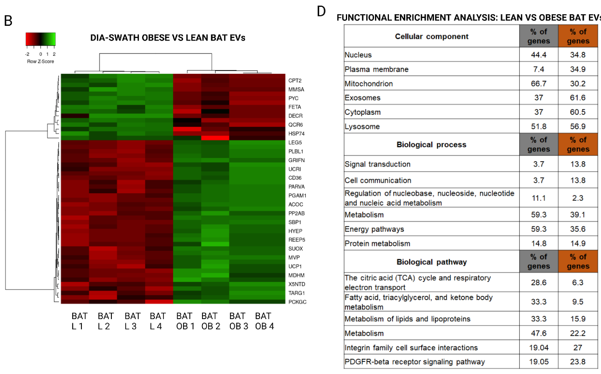 Ijms 23 10826 g005b Ijms 23 10826 g005b