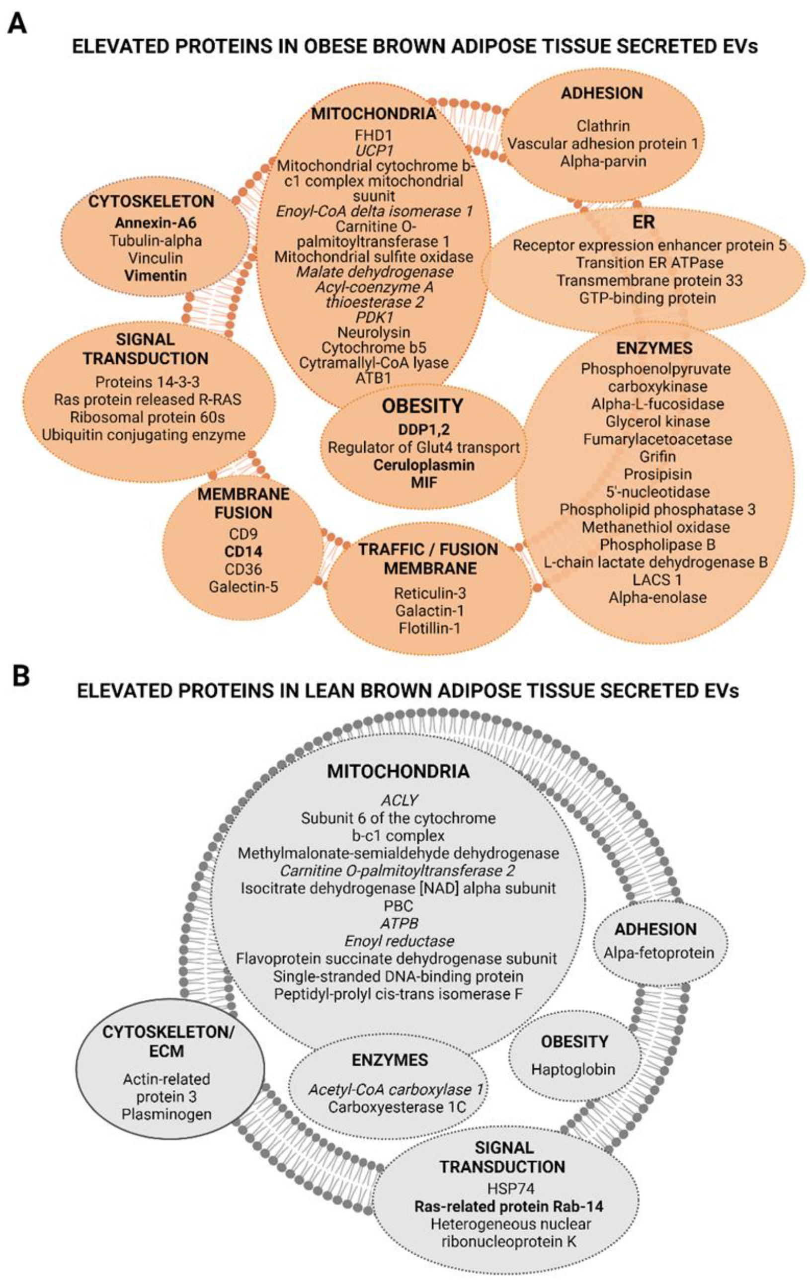Ijms 23 10826 g006 Ijms 23 10826 g006