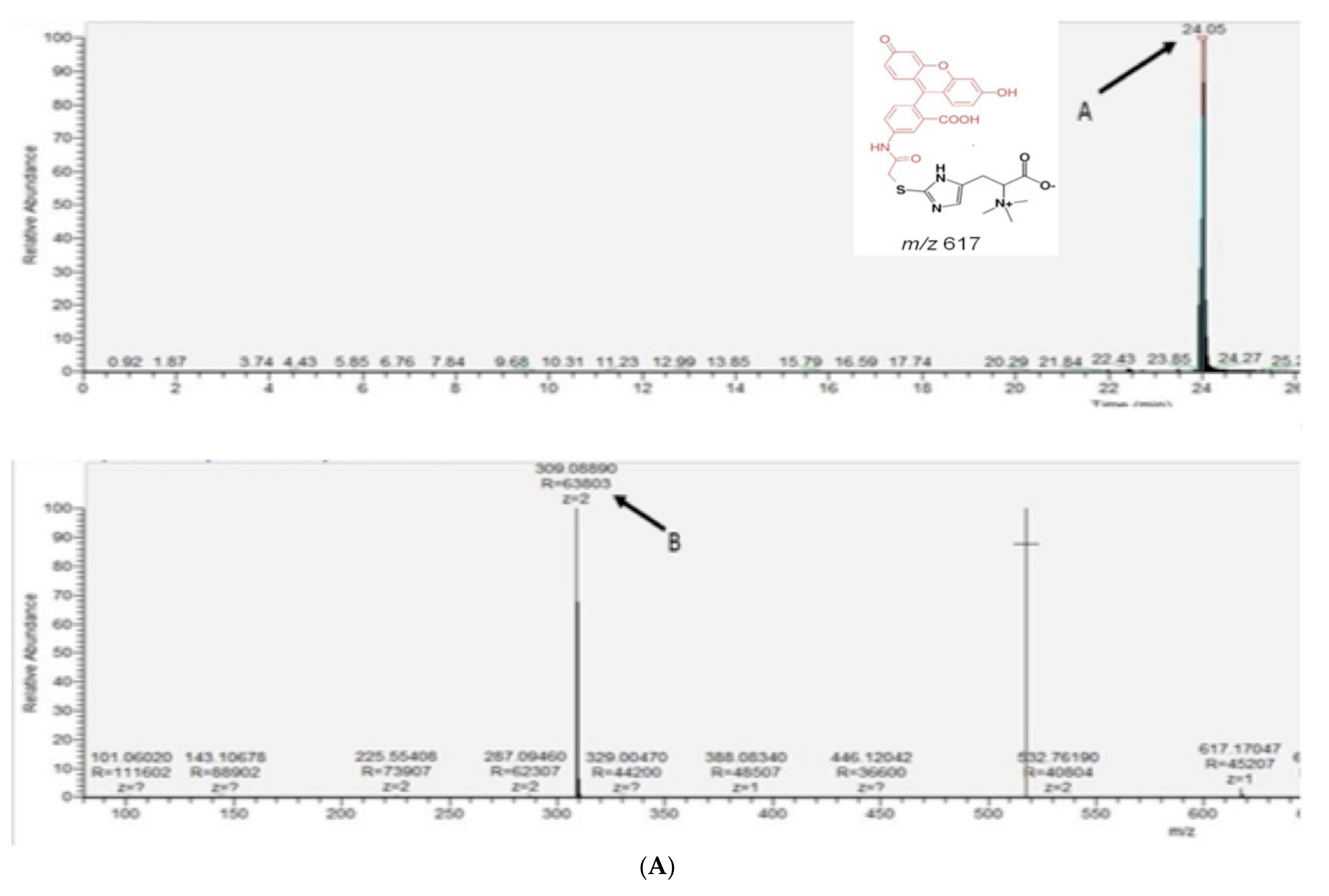 Ijms 23 10832 g002a Ijms 23 10832 g002a