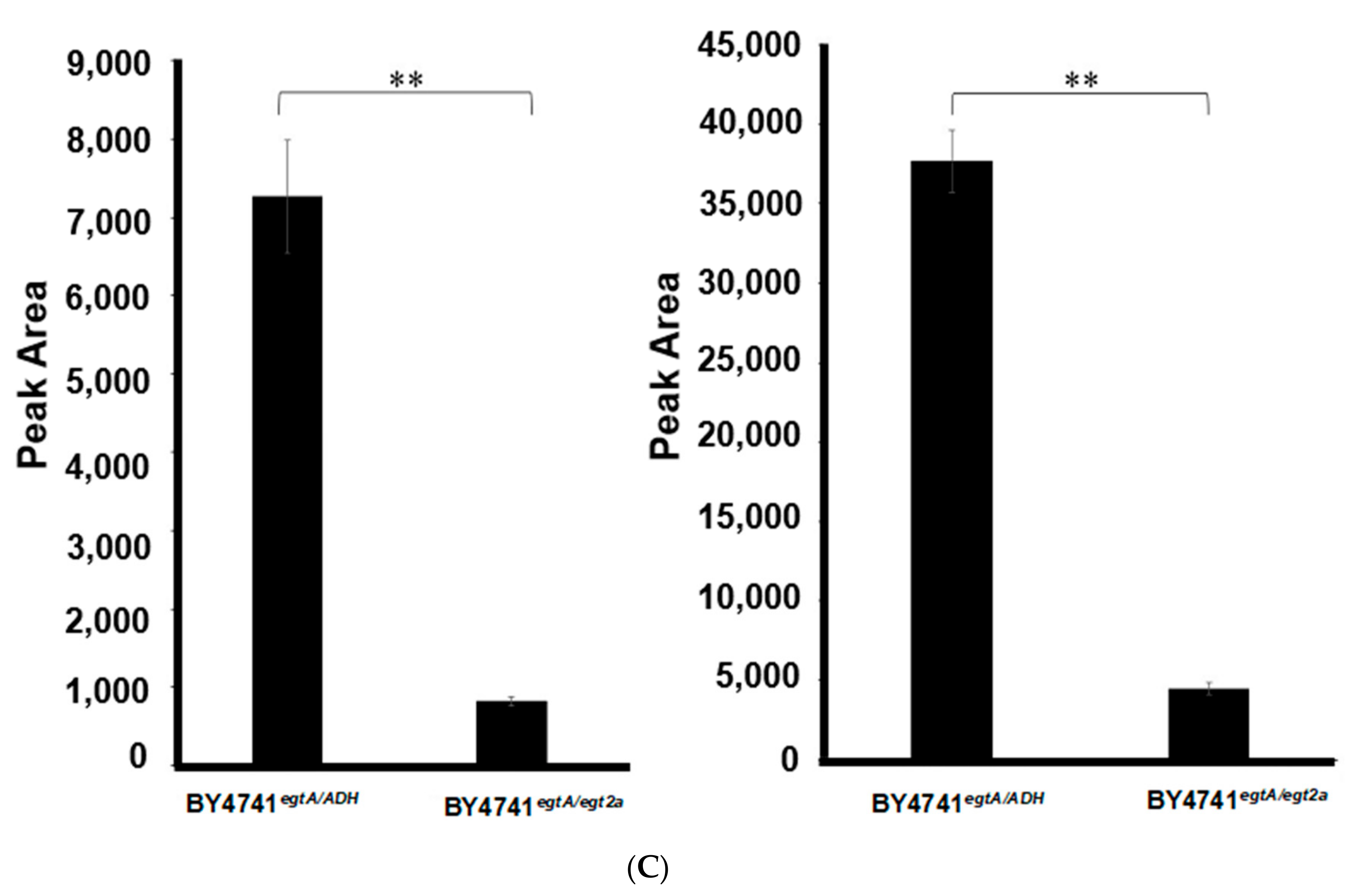 Ijms 23 10832 g005b Ijms 23 10832 g005b