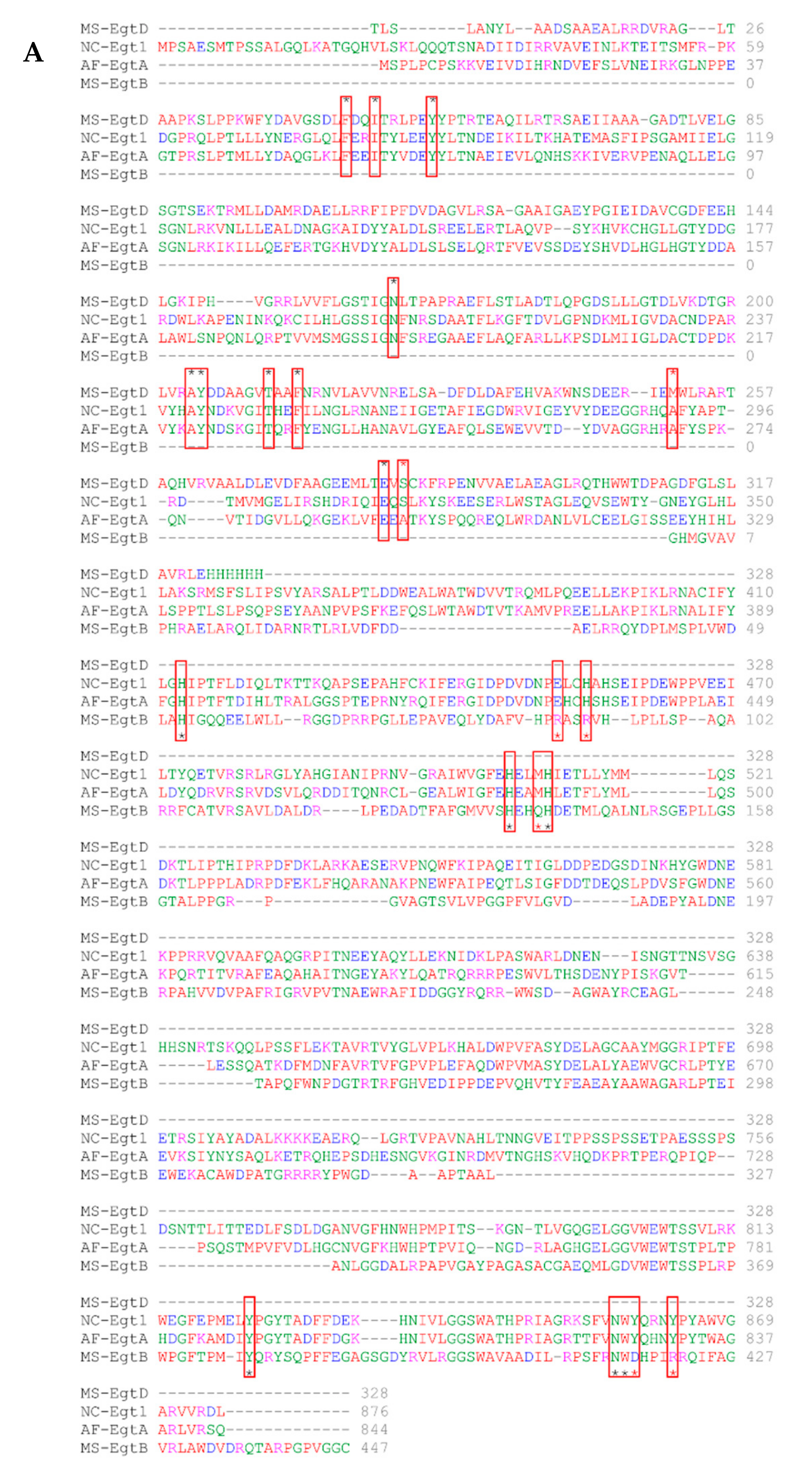 Ijms 23 10832 g006a Ijms 23 10832 g006a