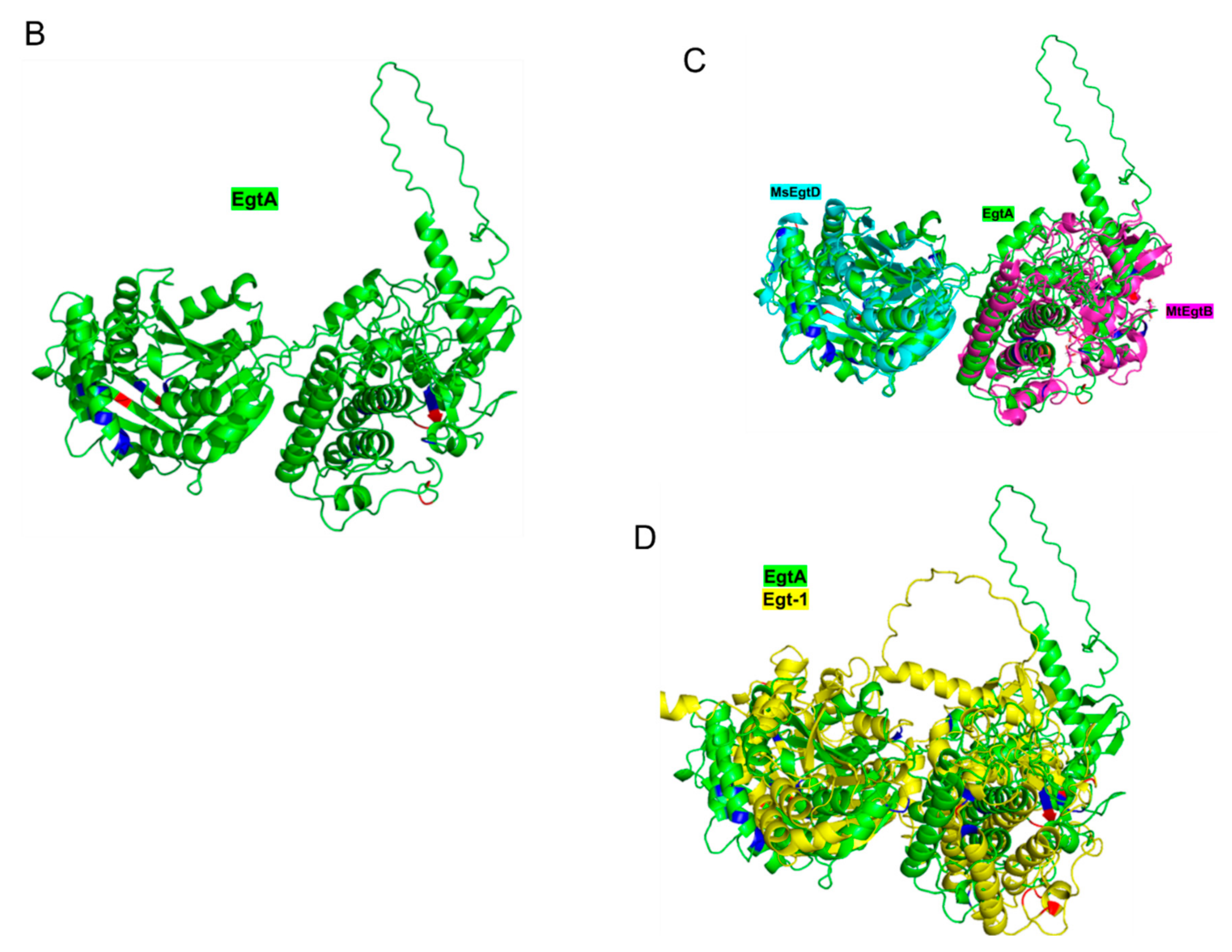 Ijms 23 10832 g006b Ijms 23 10832 g006b