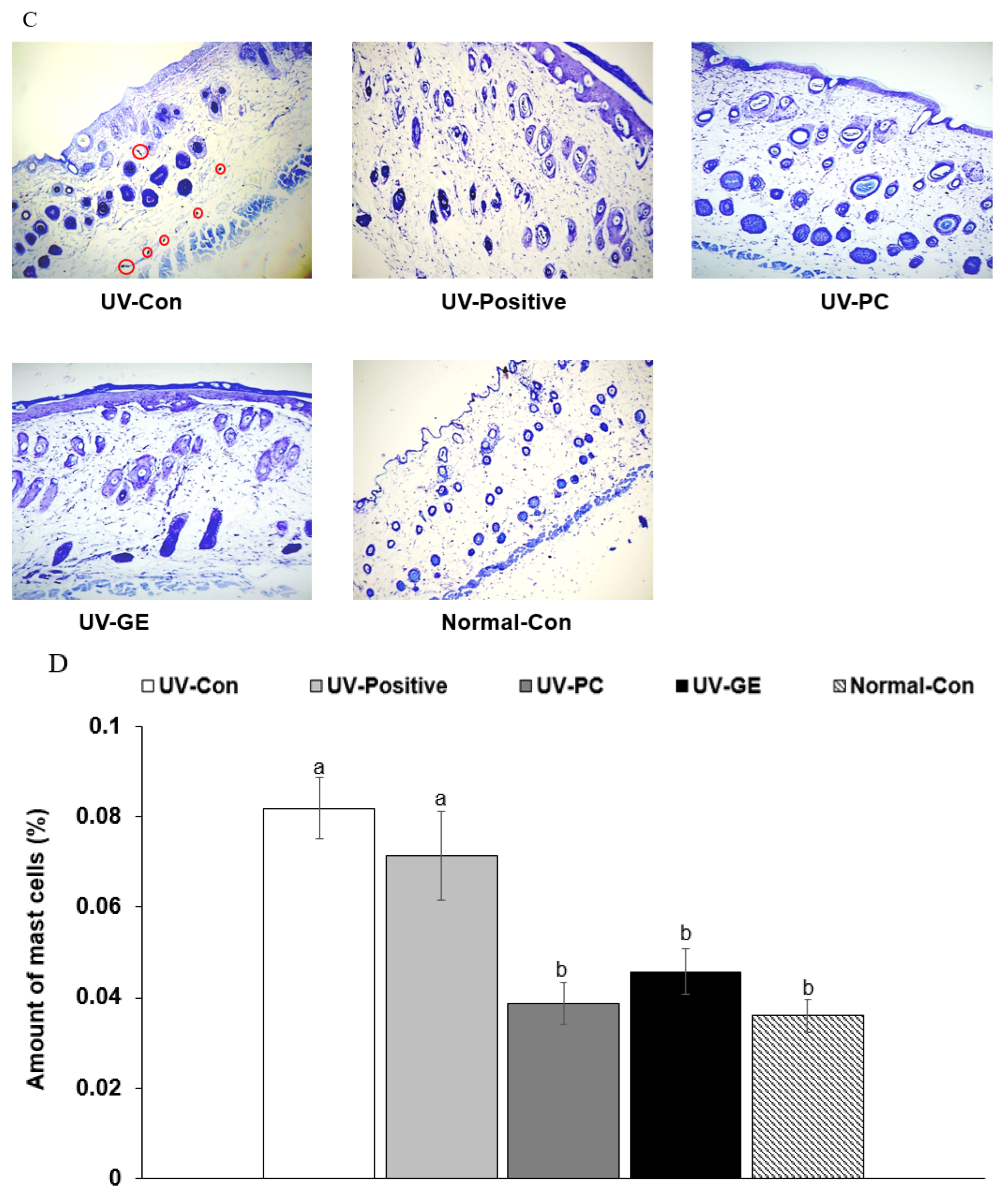 Ijms 23 10833 g002b Ijms 23 10833 g002b