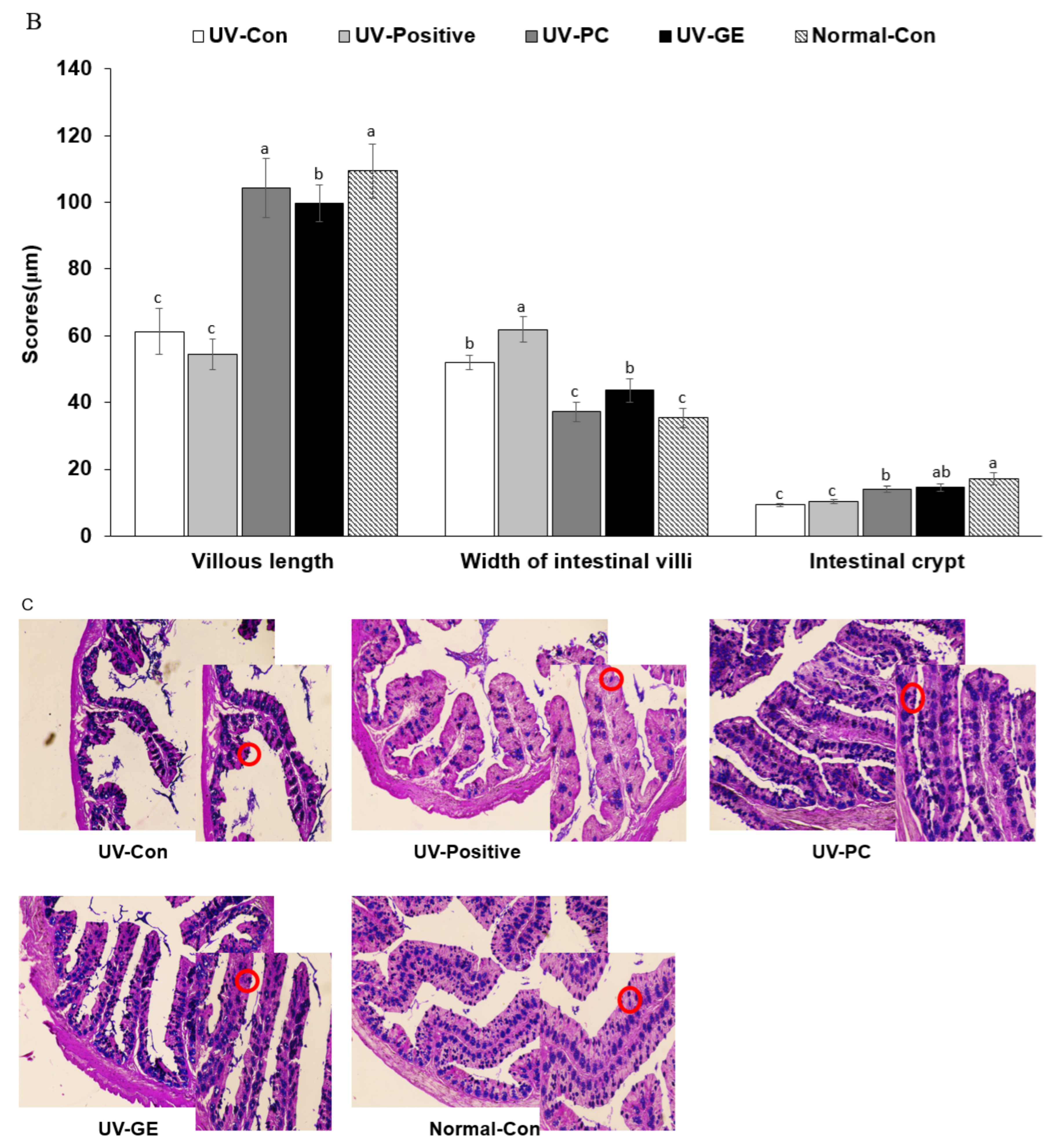 Ijms 23 10833 g003b Ijms 23 10833 g003b