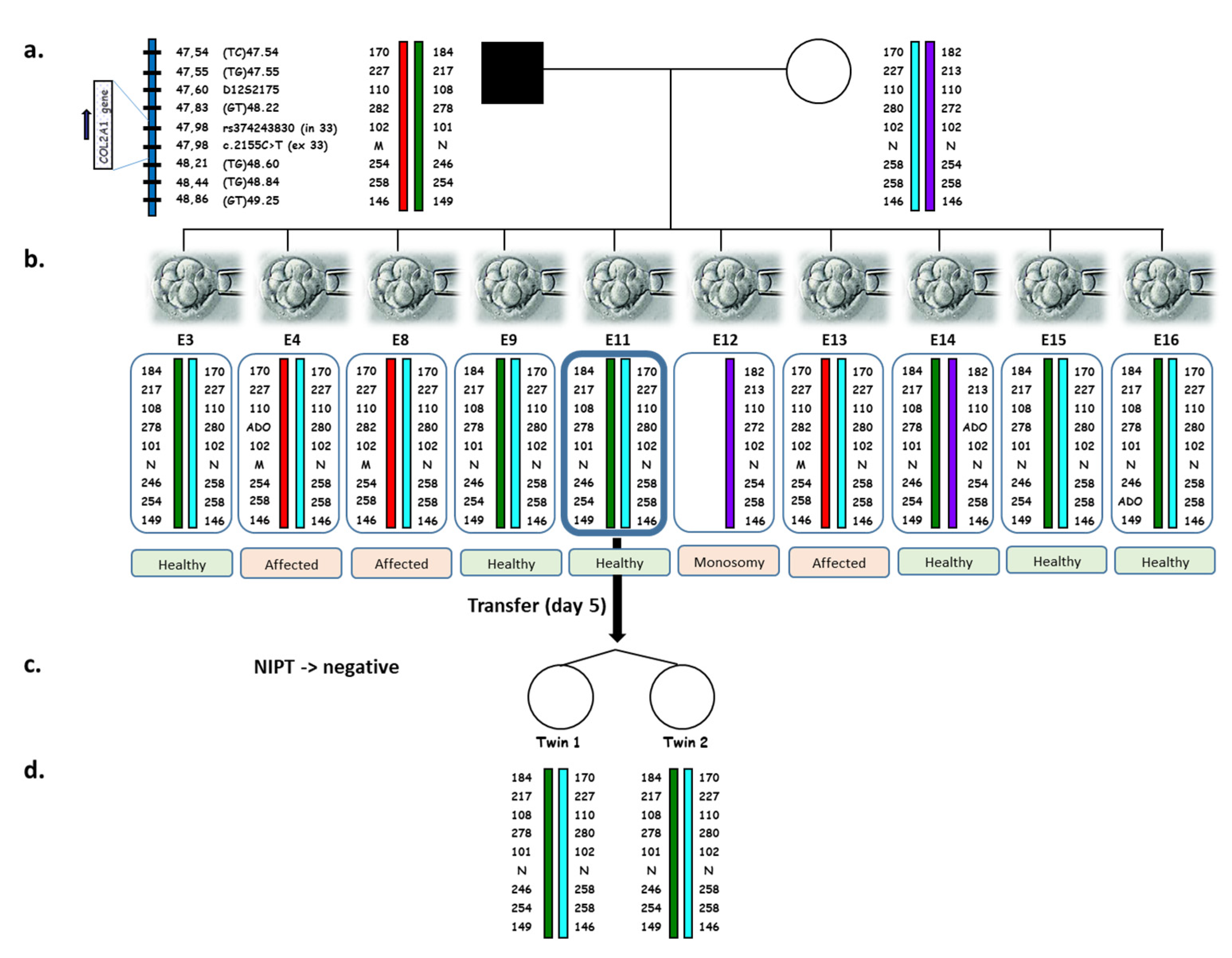 Ijms 23 10835 g002 Ijms 23 10835 g002