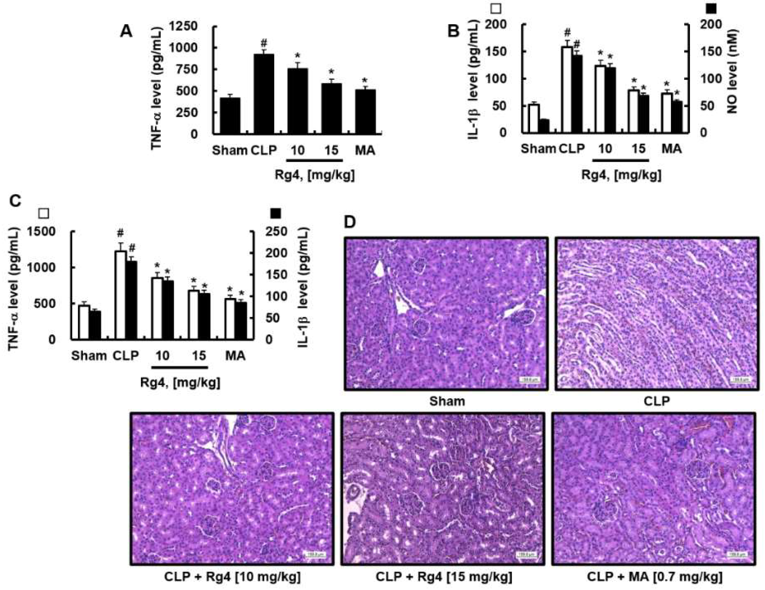 Ijms 23 10836 g002 Ijms 23 10836 g002