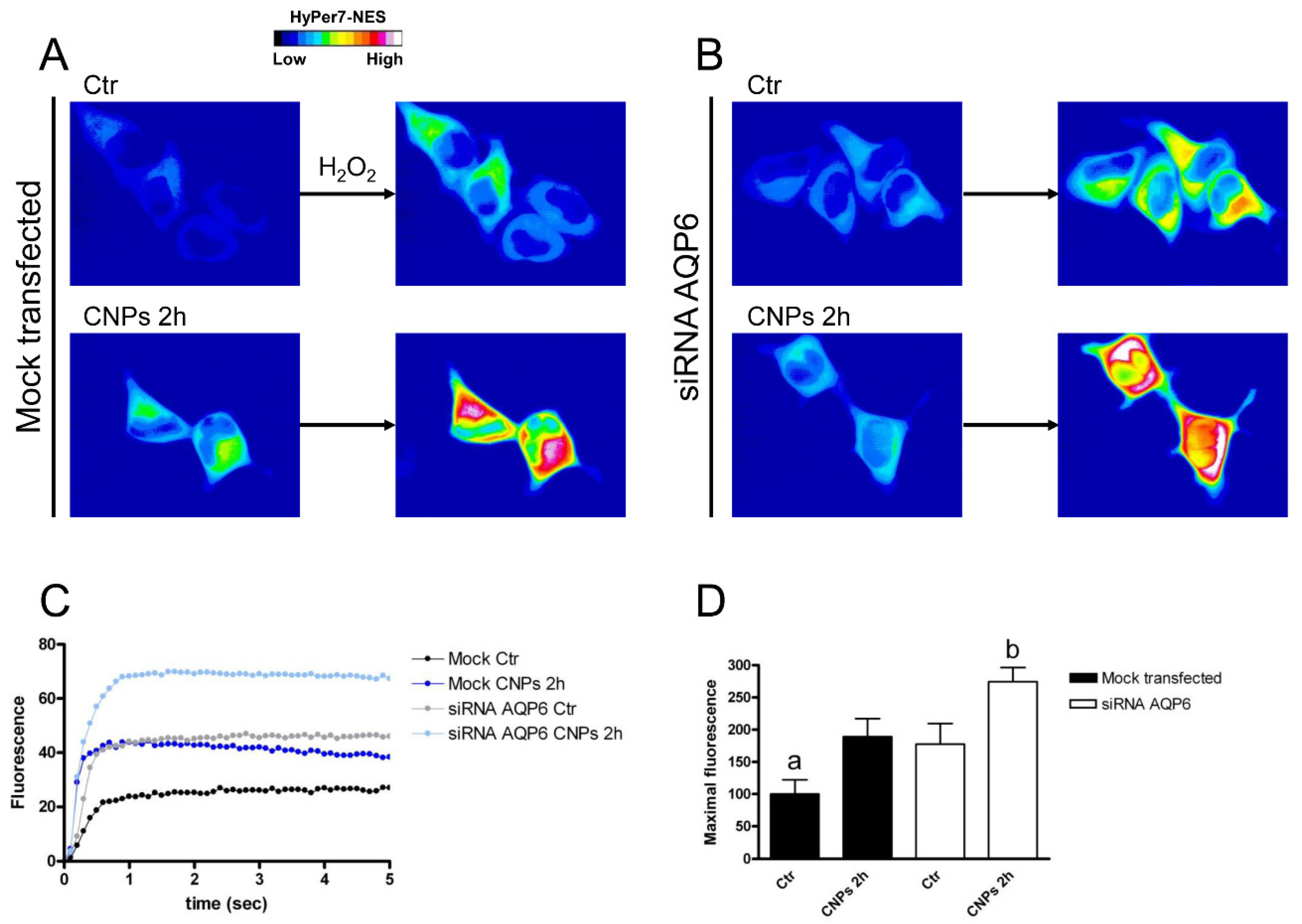 Ijms 23 10837 g008 Ijms 23 10837 g008