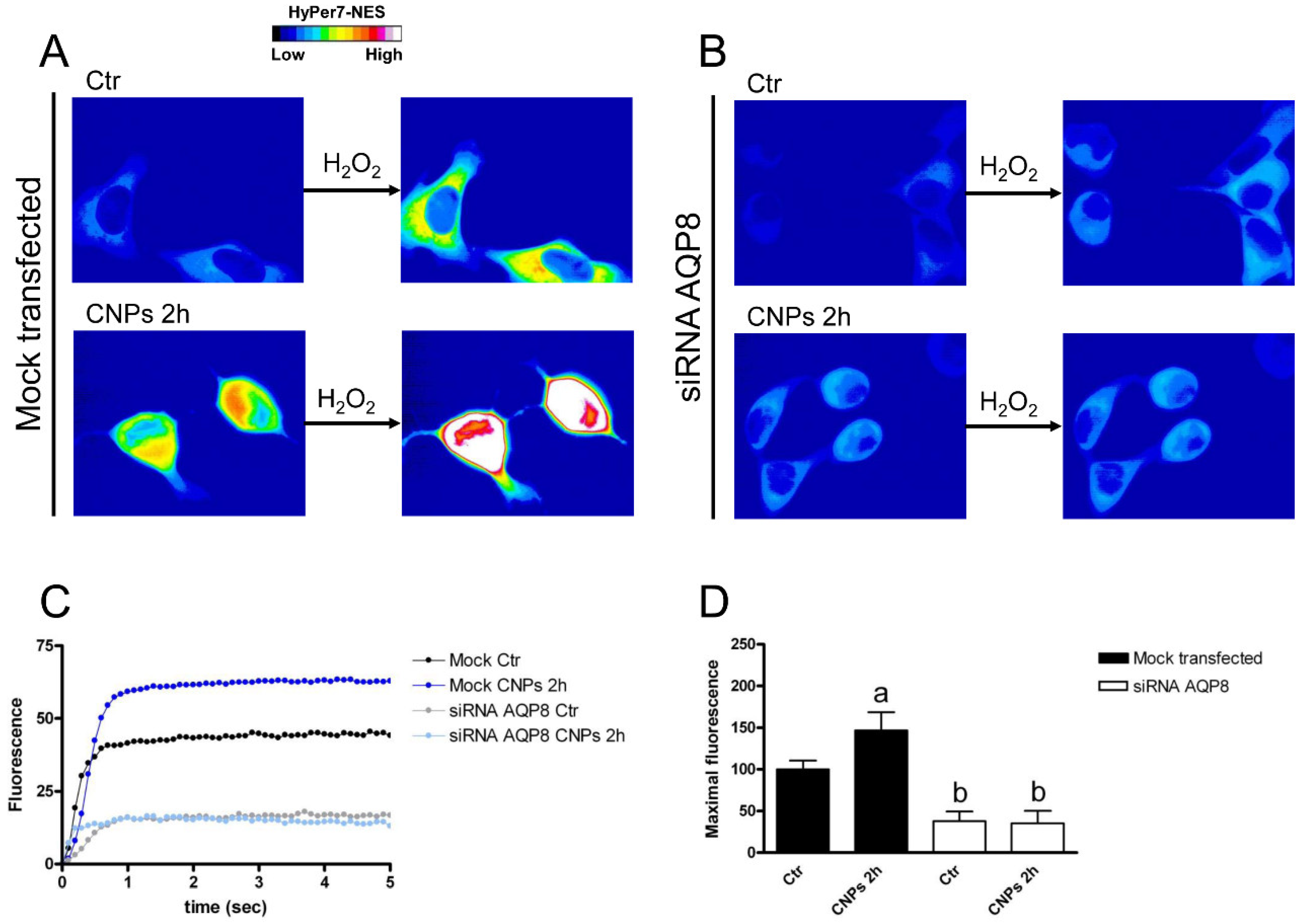 Ijms 23 10837 g009 Ijms 23 10837 g009