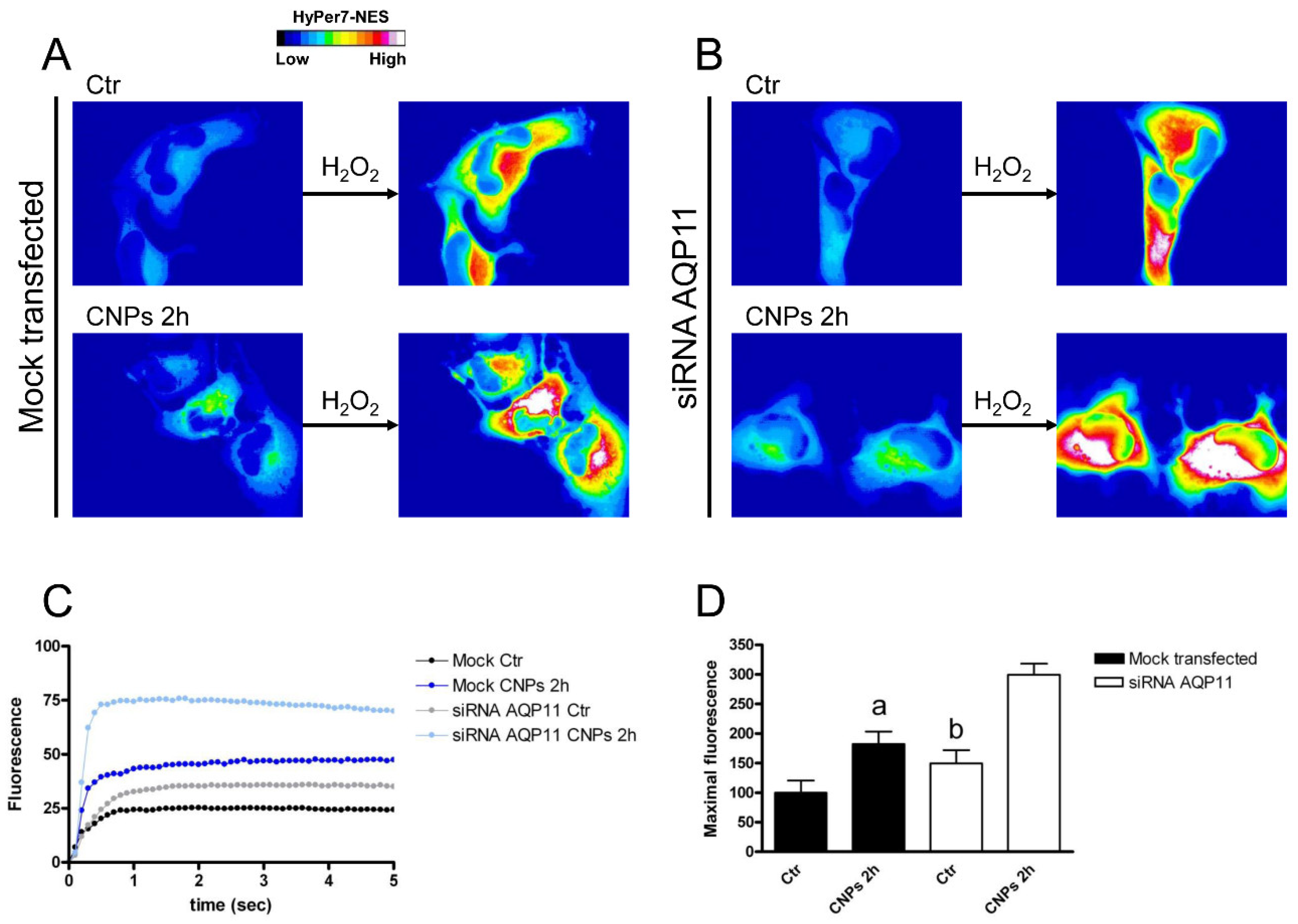 Ijms 23 10837 g010 Ijms 23 10837 g010