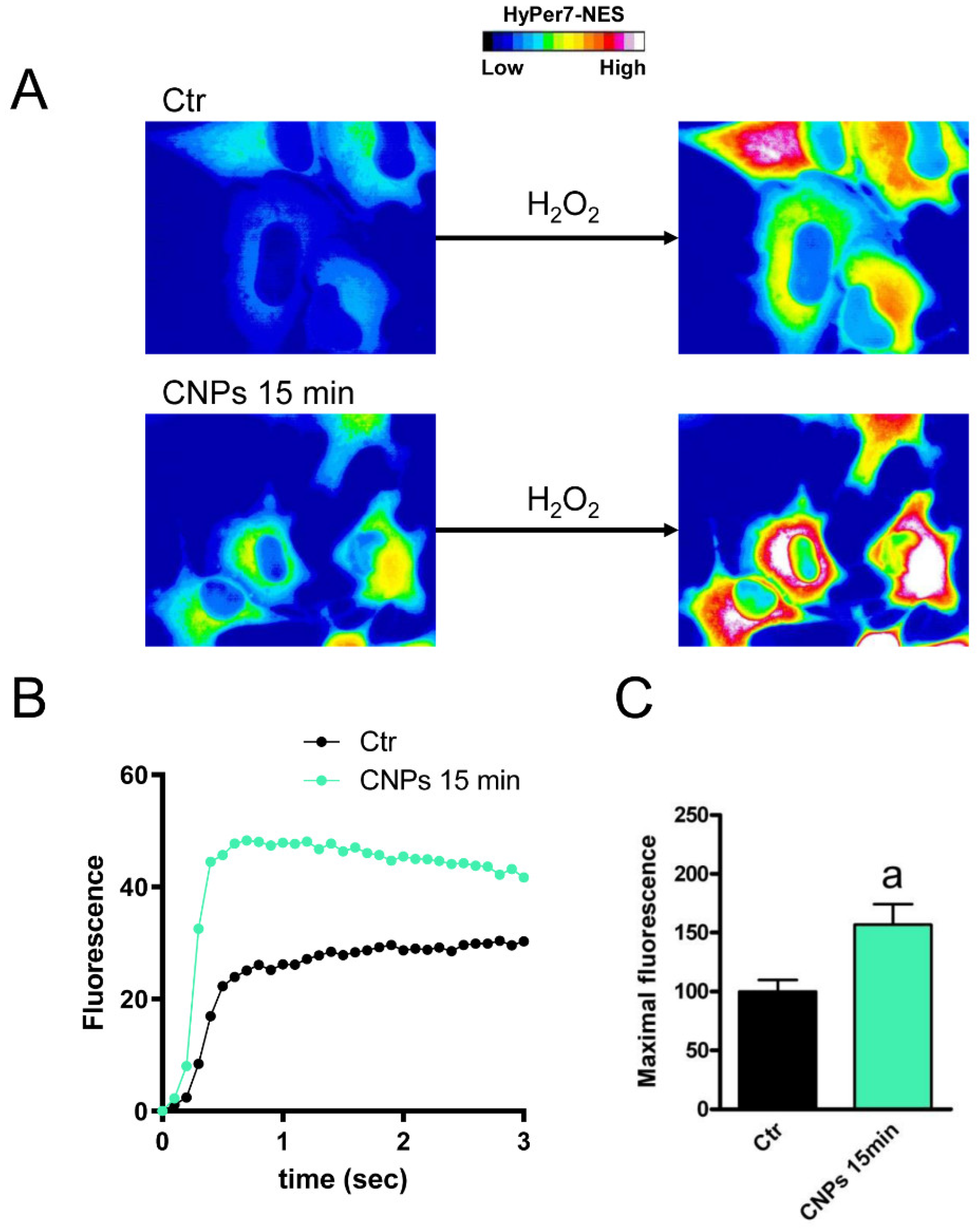Ijms 23 10837 g011 Ijms 23 10837 g011