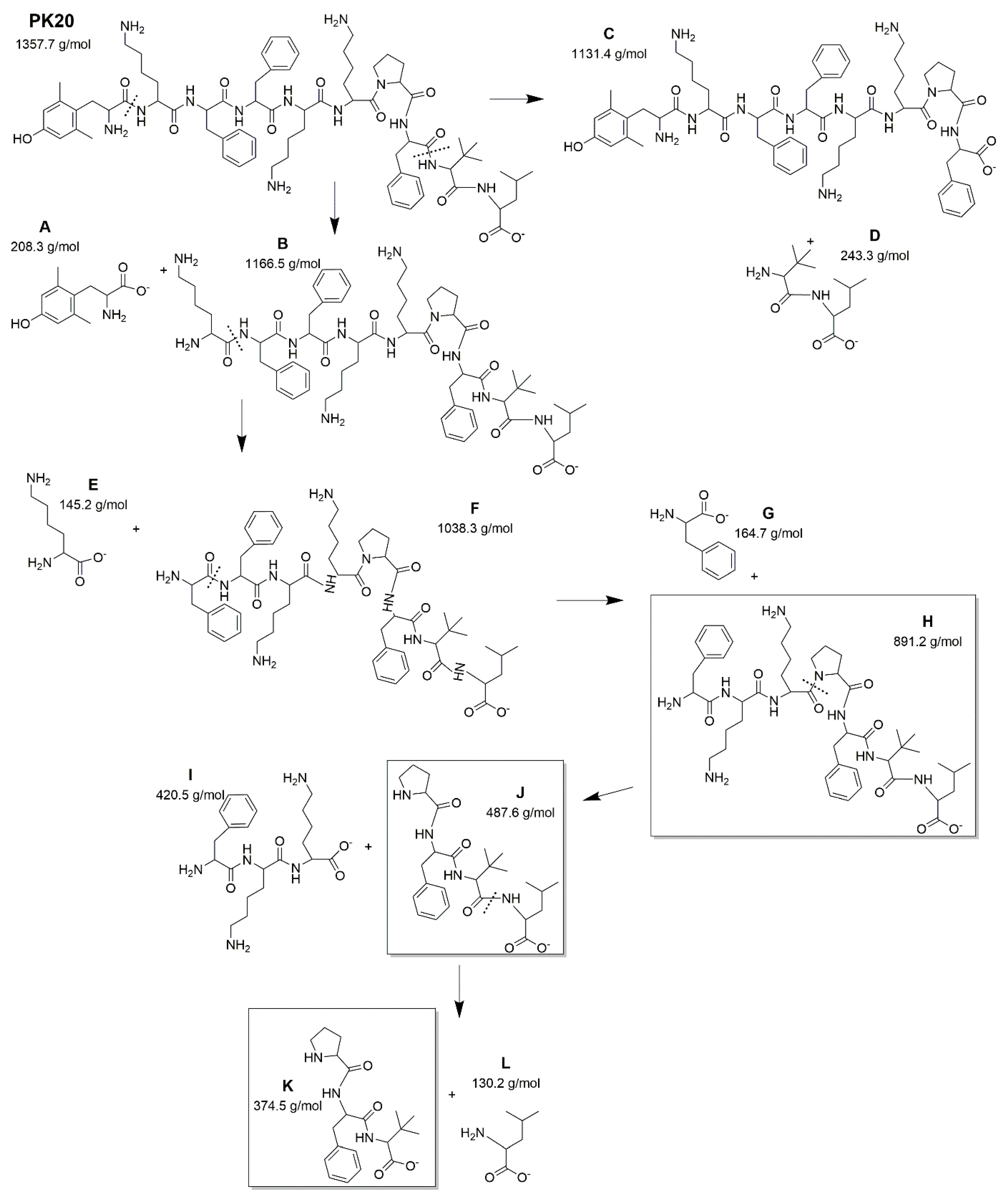 Ijms 23 10839 g004 Ijms 23 10839 g004