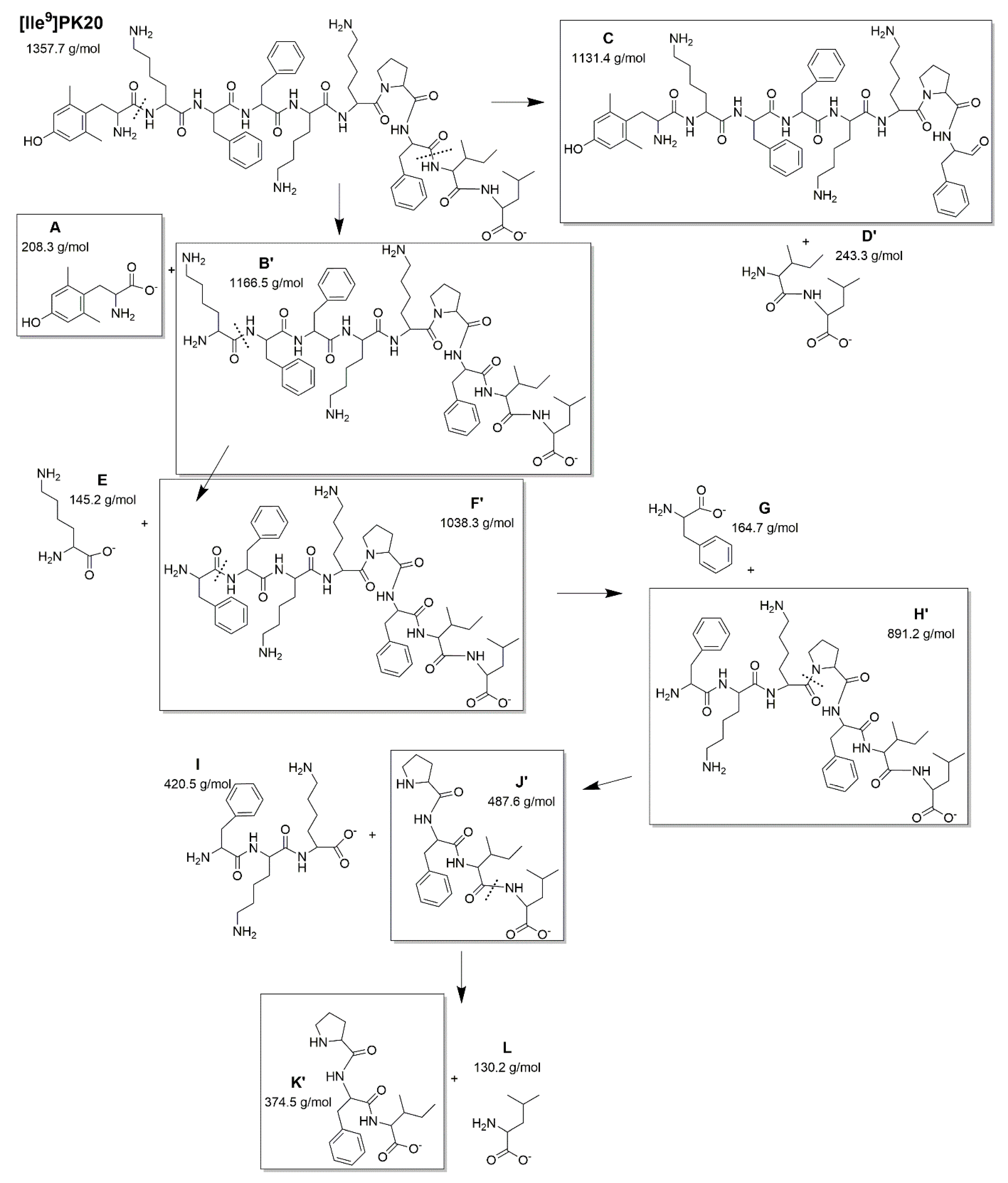 Ijms 23 10839 g005 Ijms 23 10839 g005
