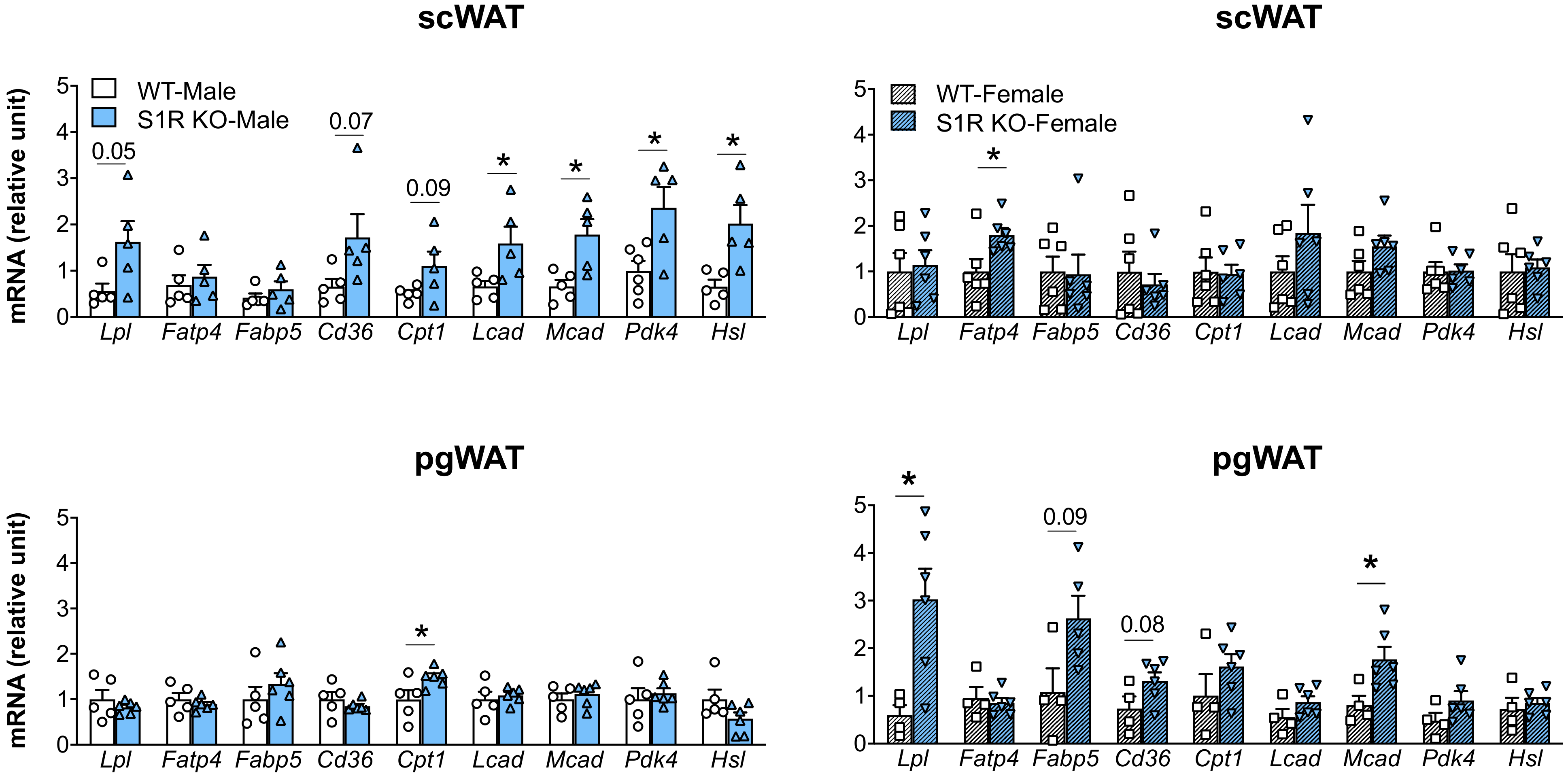 Ijms Free Full Text Differential Responses To Sigma 1 Or Sigma 2 Receptor Ablation In