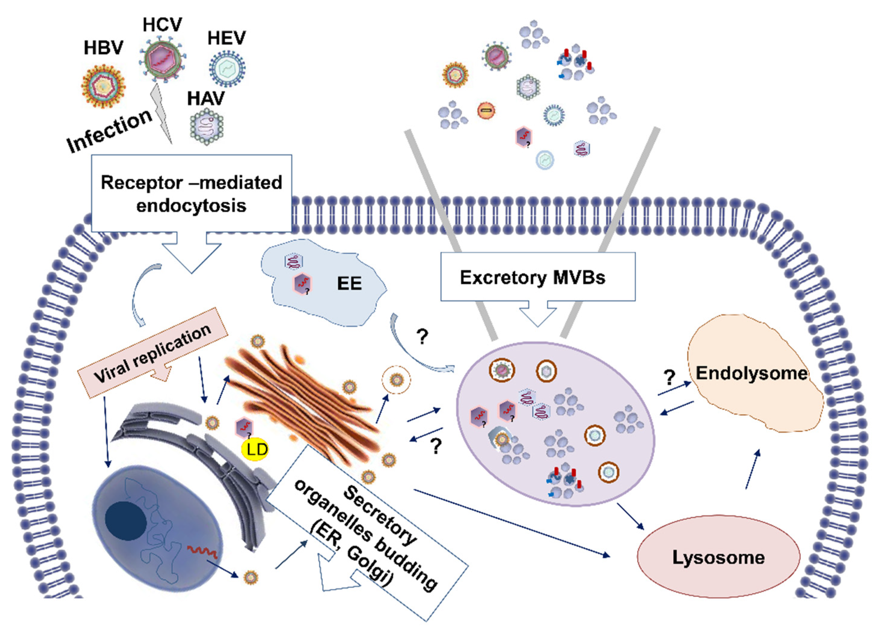 Ijms 23 10862 g001 Ijms 23 10862 g001