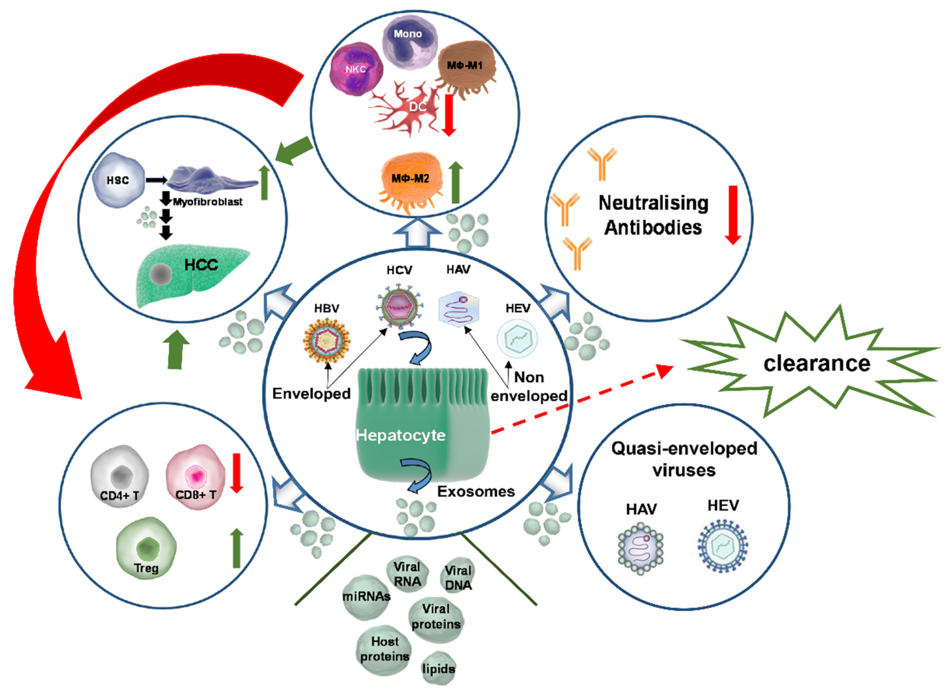 Ijms 23 10862 g002 Ijms 23 10862 g002