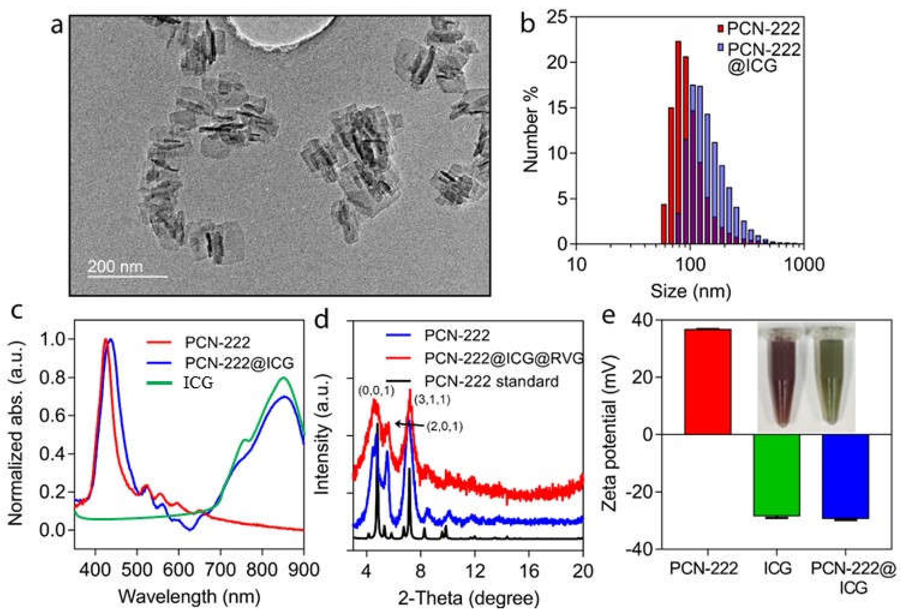 Ijms 23 10885 g001 Ijms 23 10885 g001