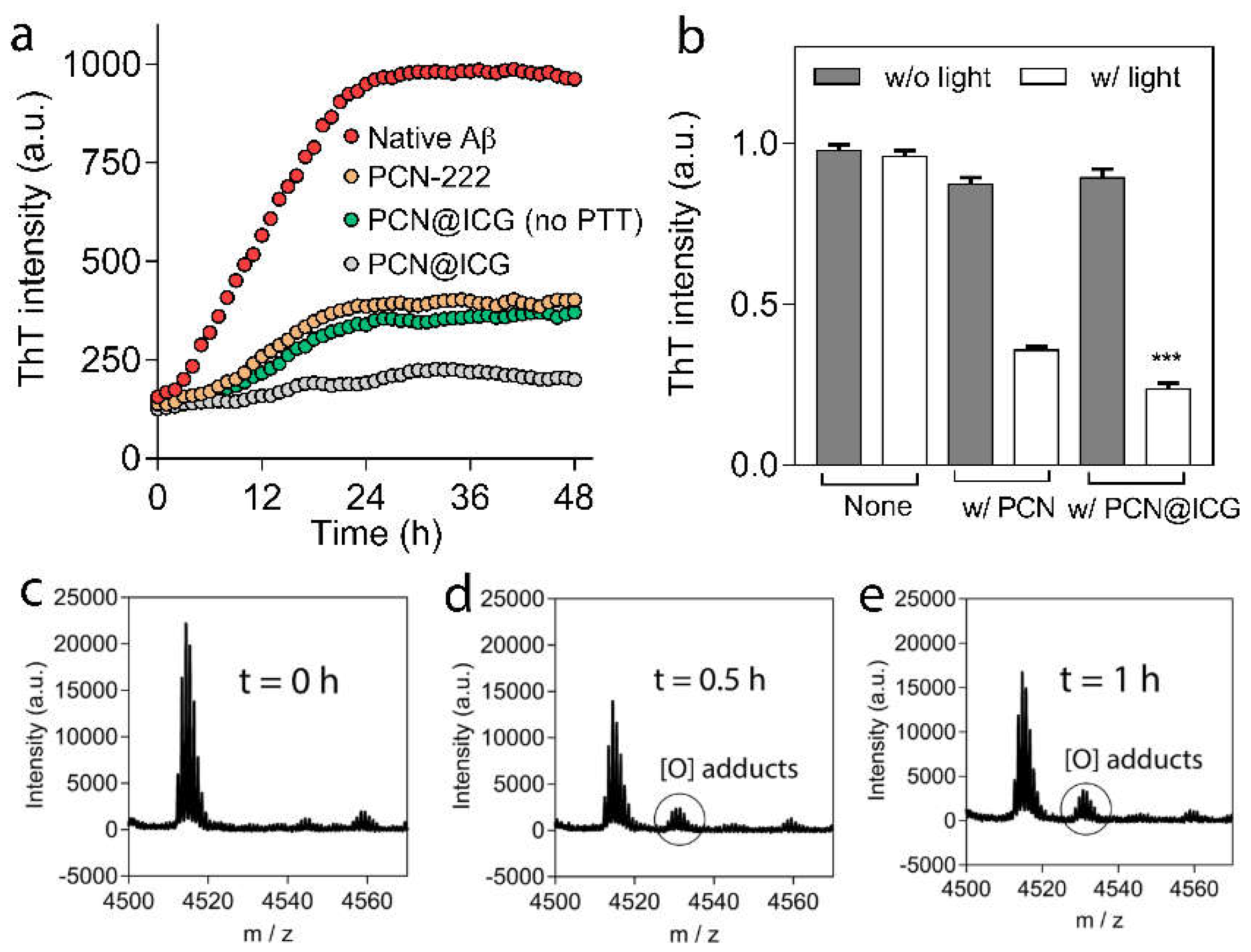 Ijms 23 10885 g005 Ijms 23 10885 g005